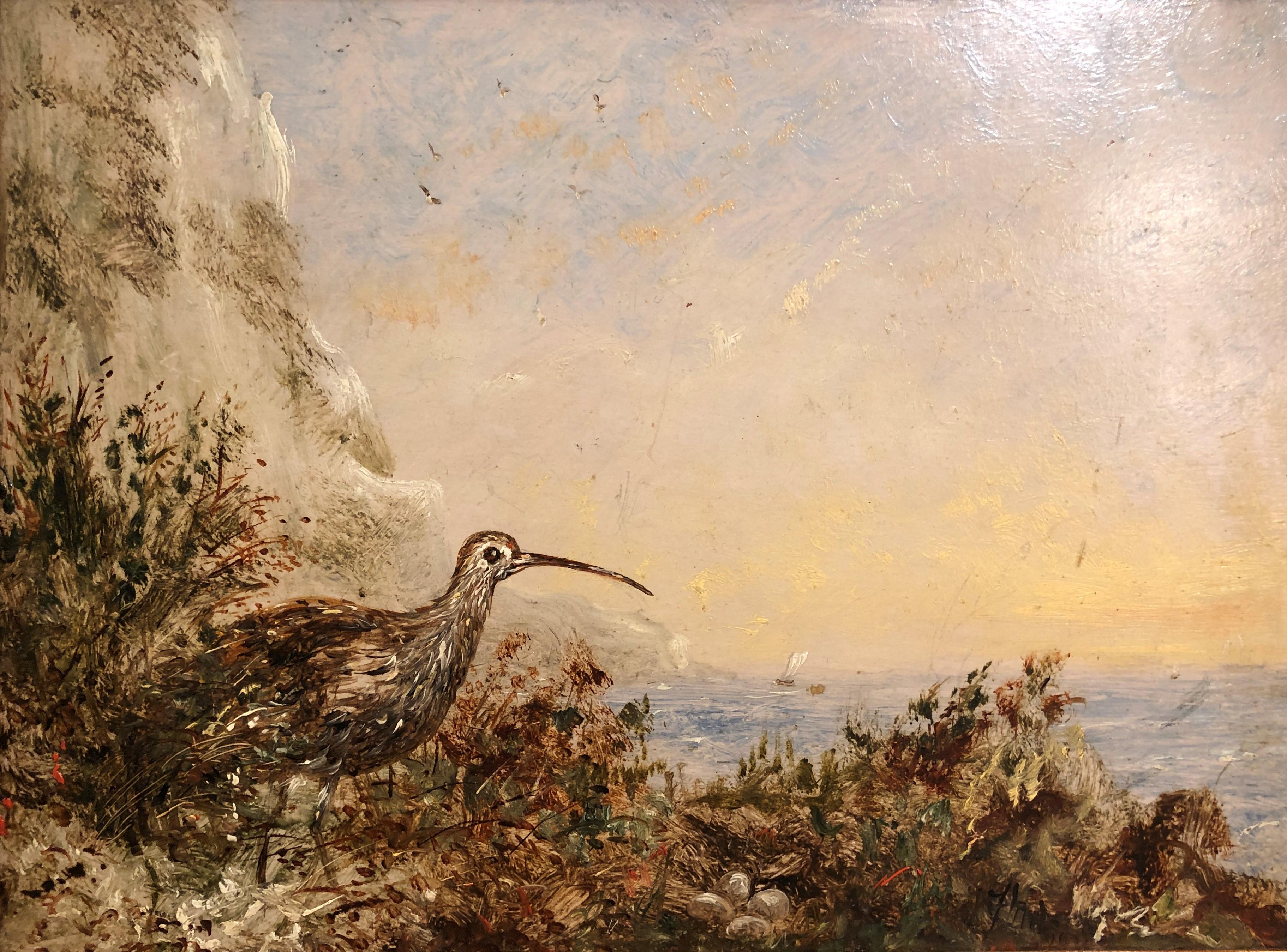 SMALL RARE OIL PAINTING ANTIQUE BIRD STUDY 19th Century Fine Quality Piece GGF For Sale 9