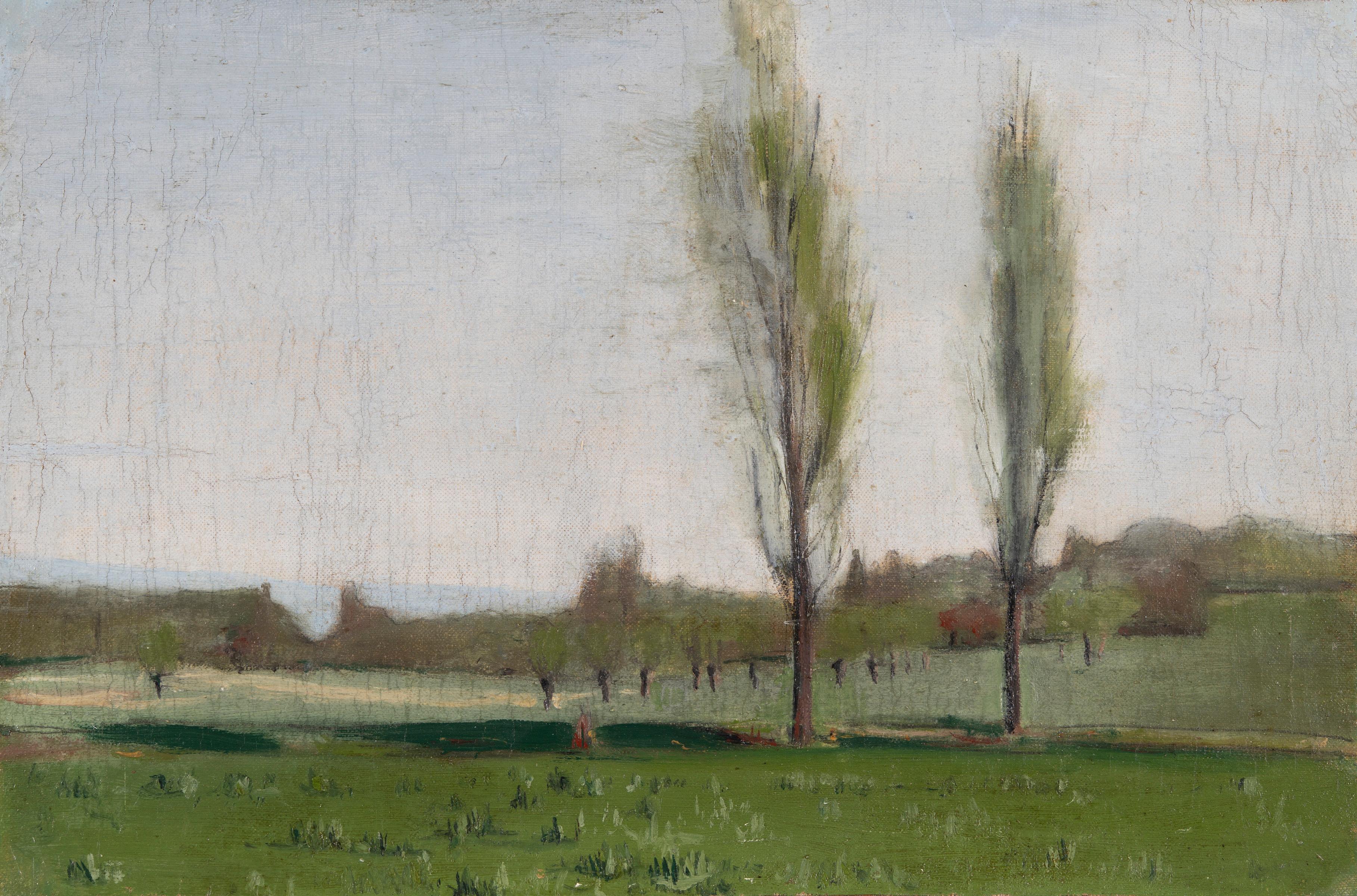 Landscape Painting de Unknown - Paisaje primaveral con álamos, pintura al óleo impresionista de campiña