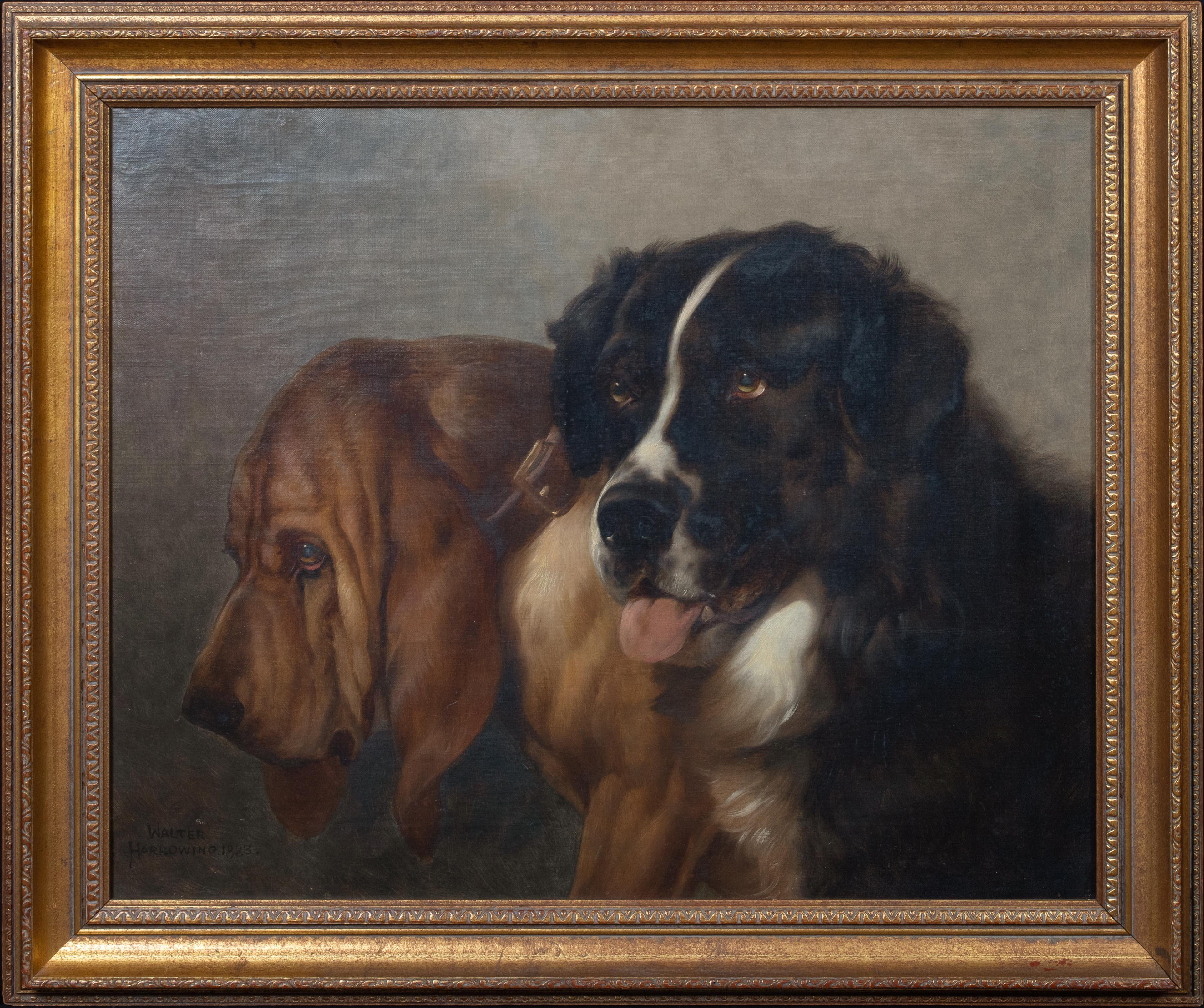St Bernard & Bloodhound, 19th Century  by Walter Harrowing (1838-1913) - Painting by Unknown