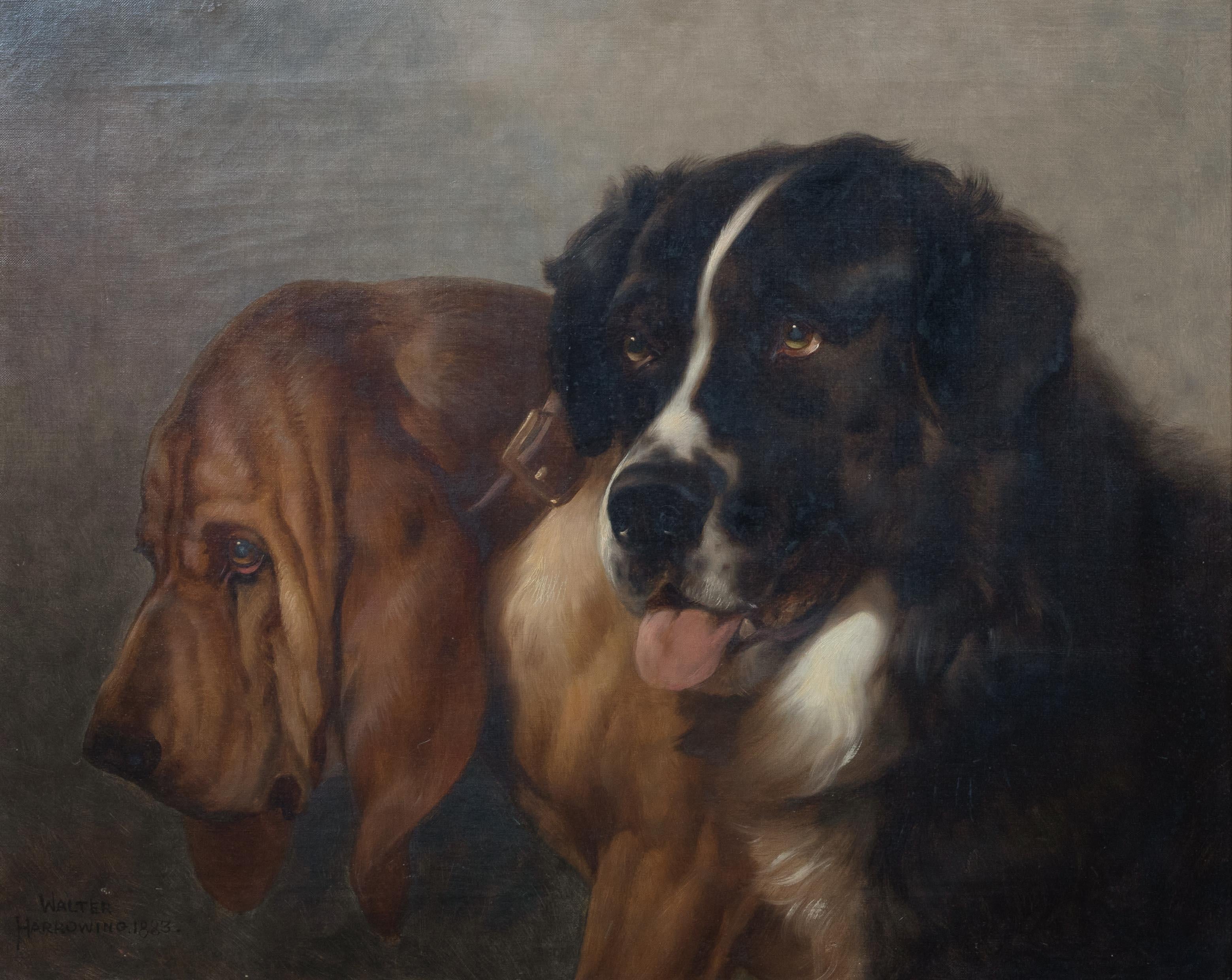 Unknown Landscape Painting - St Bernard & Bloodhound, 19th Century  by Walter Harrowing (1838-1913)