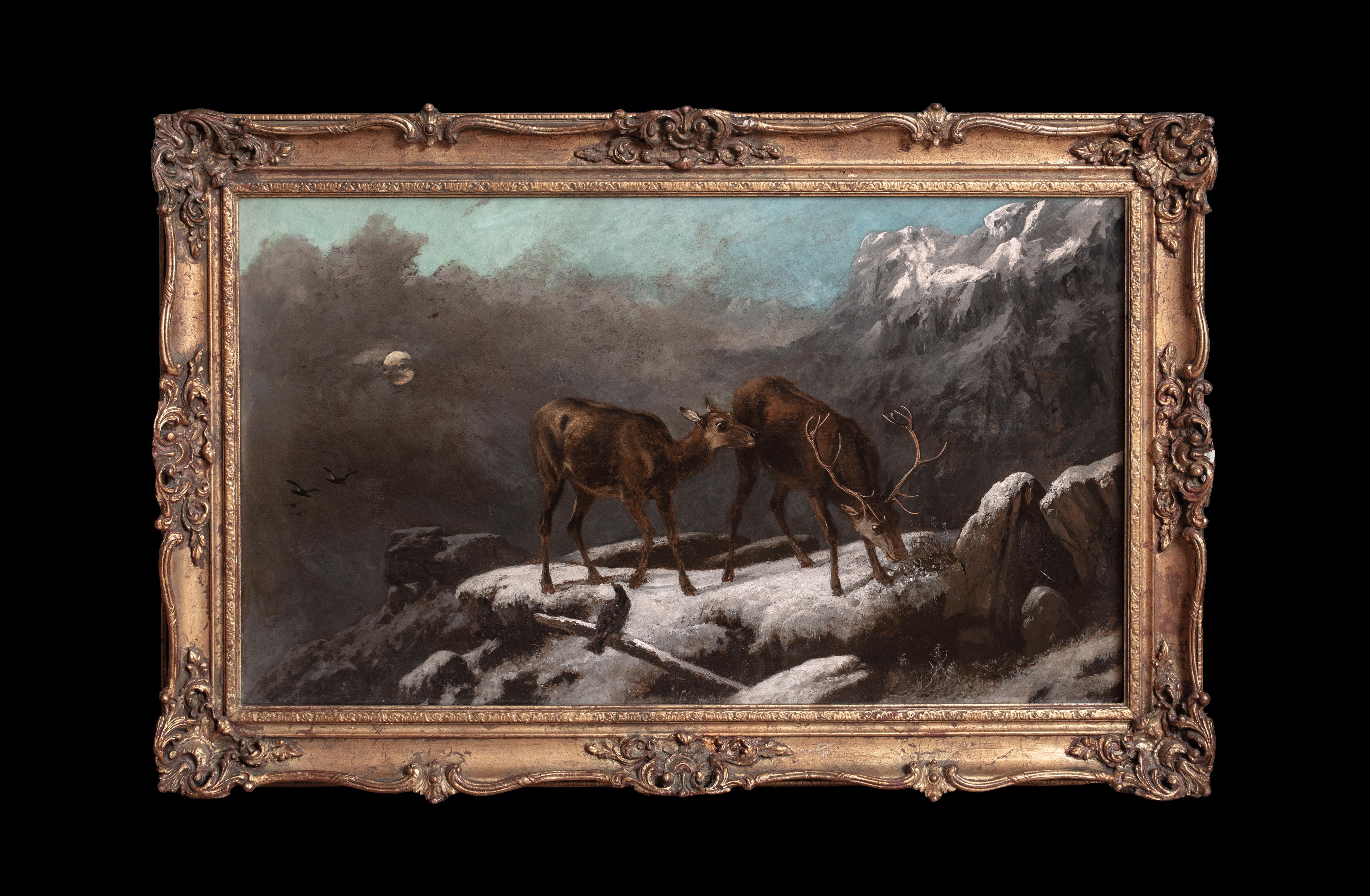Stag & Deer Grazing In The Frozen Scottish Highlands, 19th Century  ROBERT ROE - Painting by Unknown
