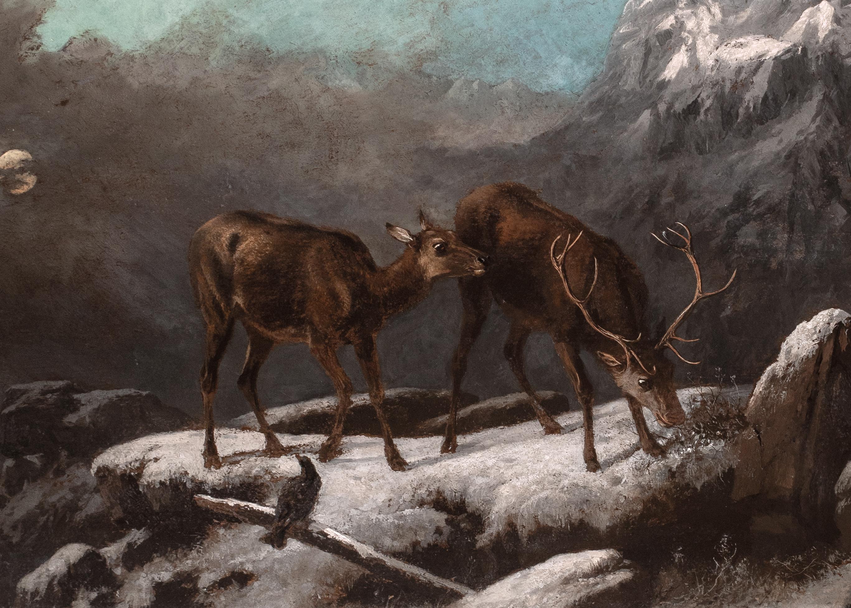 Stag & Deer Grazing In The Frozen Scottish Highlands, 19th Century  ROBERT ROE For Sale 1