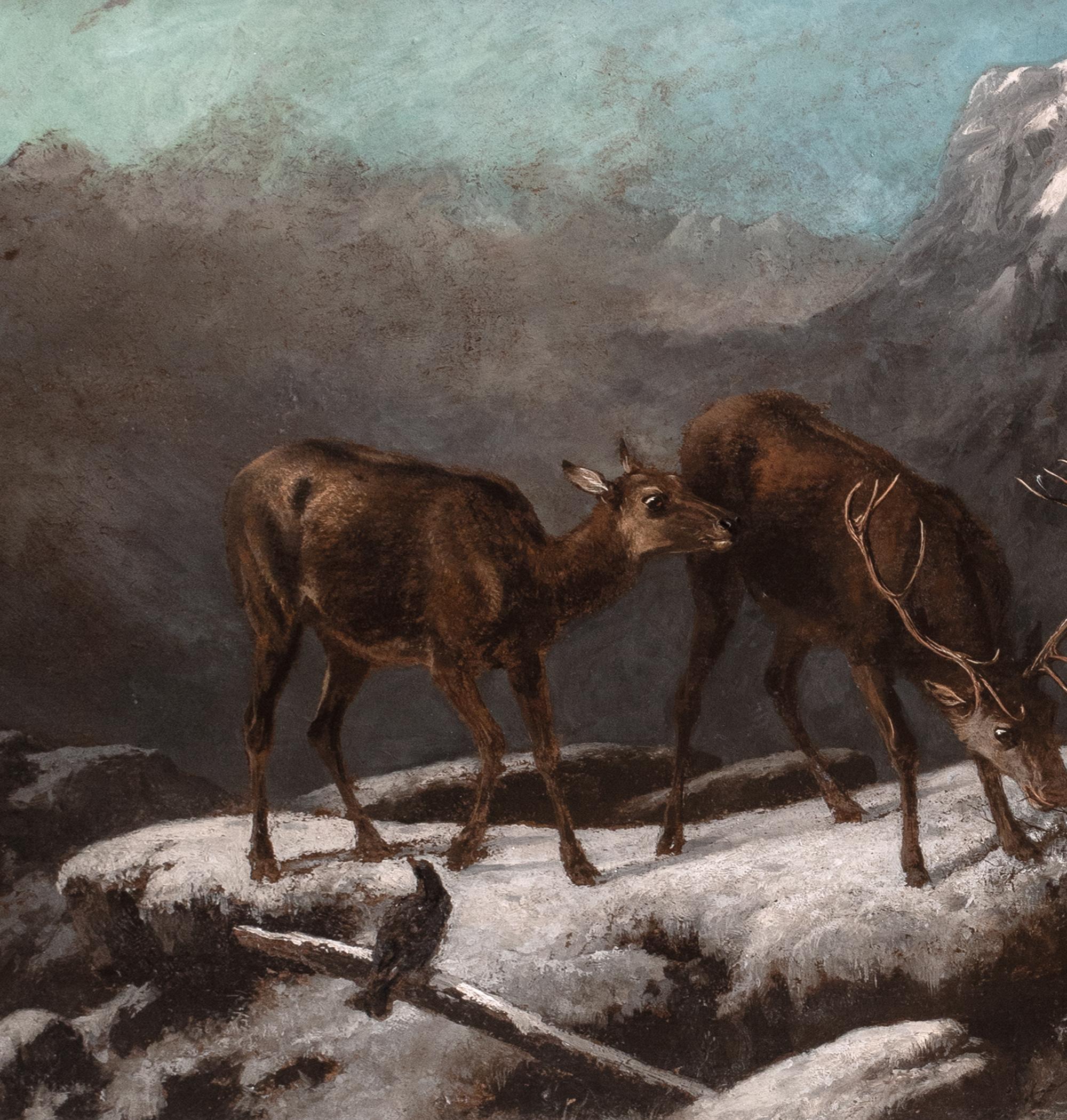 Stag & Deer Grazing In The Frozen Scottish Highlands, 19th Century  ROBERT ROE For Sale 3