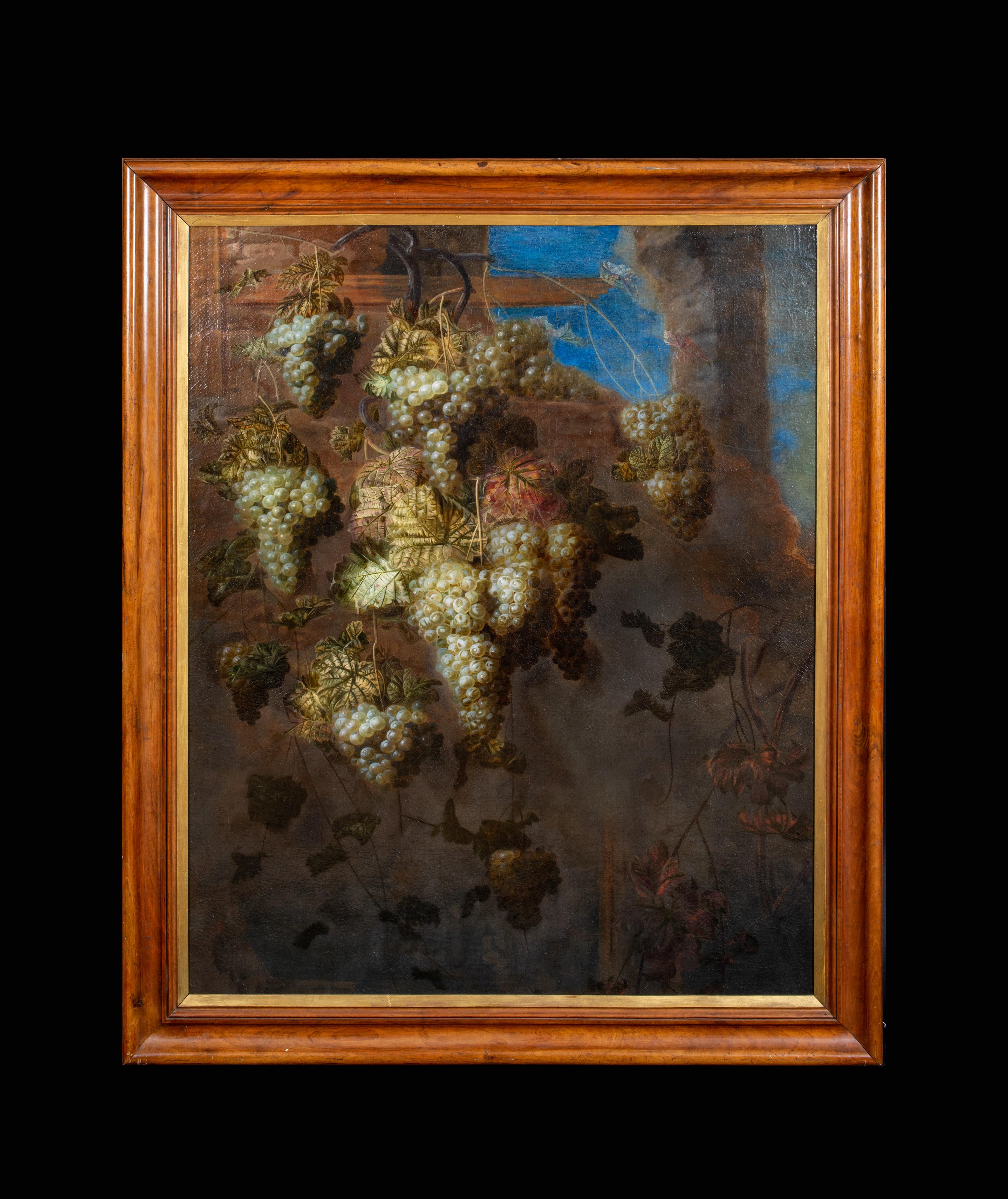 Still Life Of Grapes In The Vineyard, 17th Century - Black Still-Life Painting by Unknown