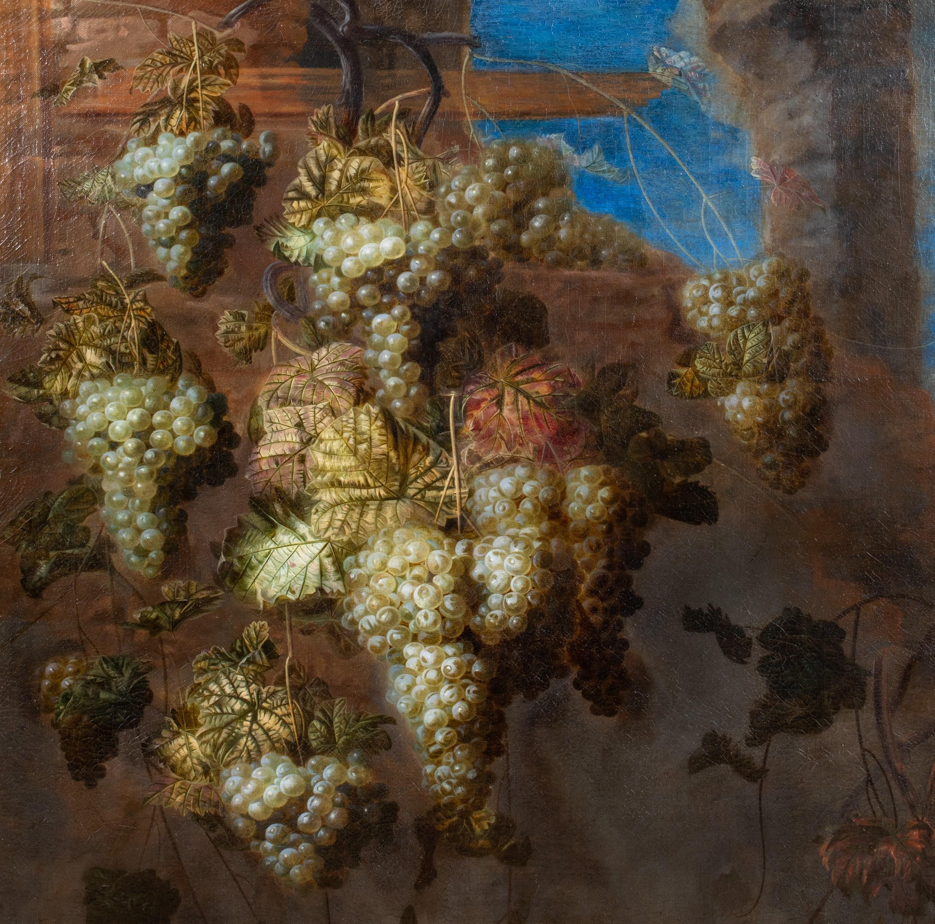 Still Life Of Grapes In The Vineyard, 17th Century For Sale 1