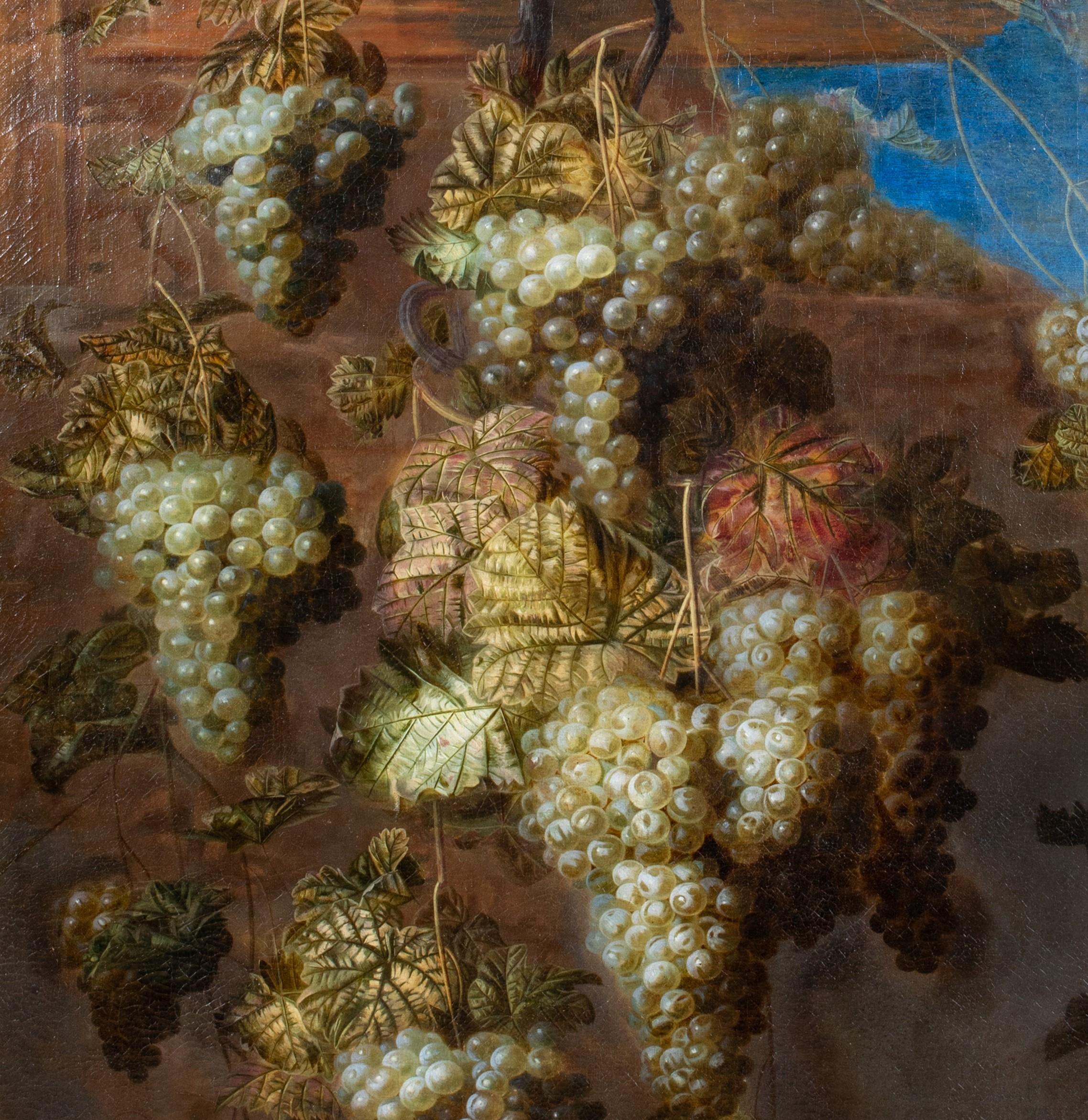 Still Life Of Grapes In The Vineyard, 17th Century For Sale 2