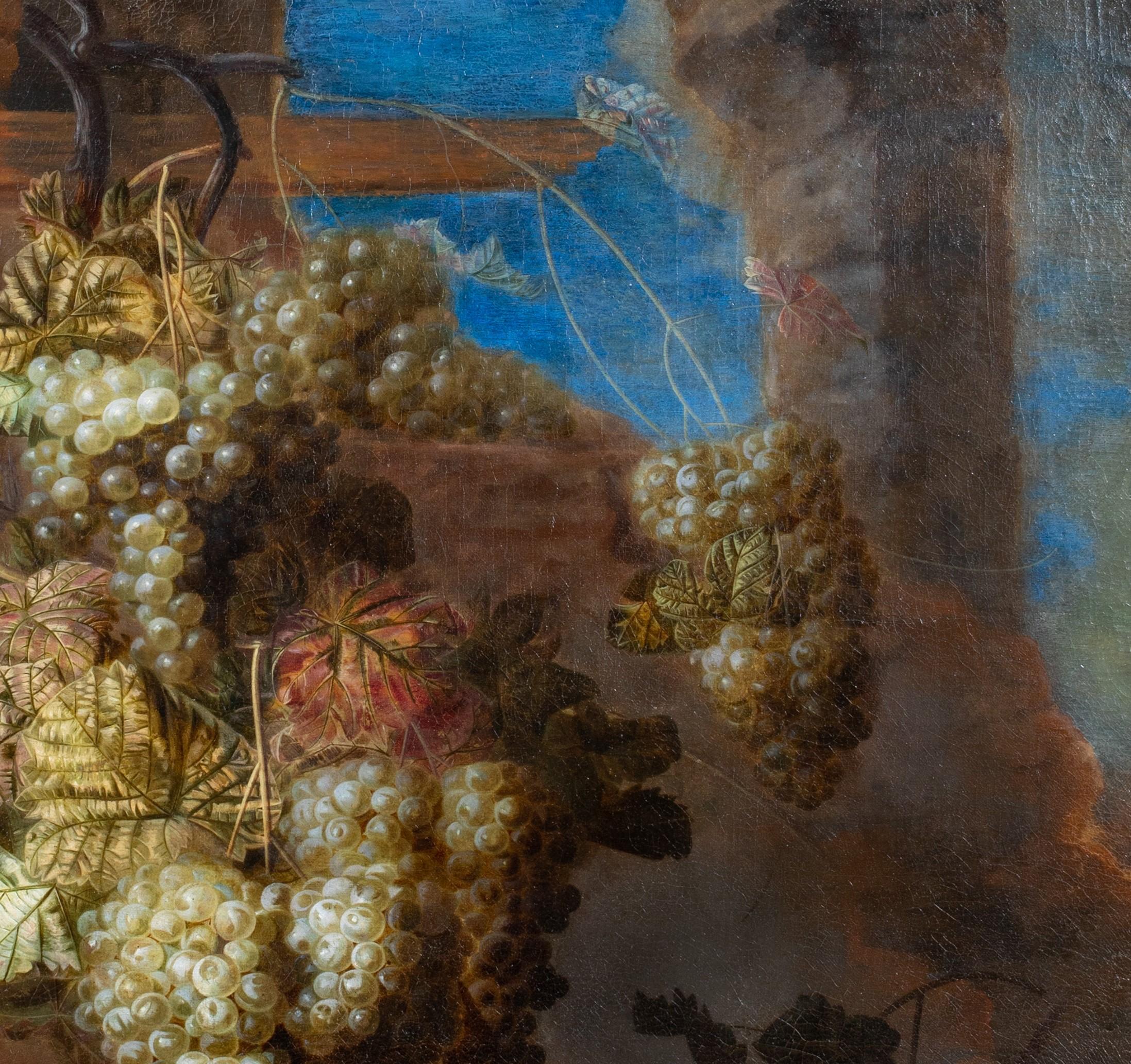 Still Life Of Grapes In The Vineyard, 17th Century For Sale 4