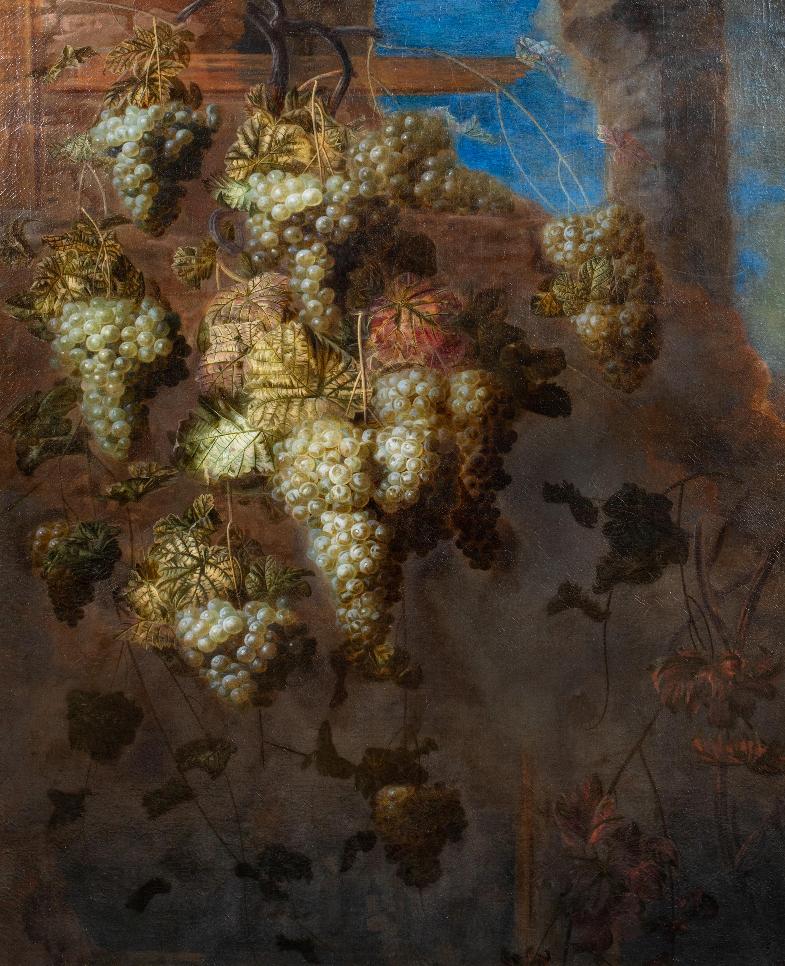 Unknown Still-Life Painting - Still Life Of Grapes In The Vineyard, 17th Century
