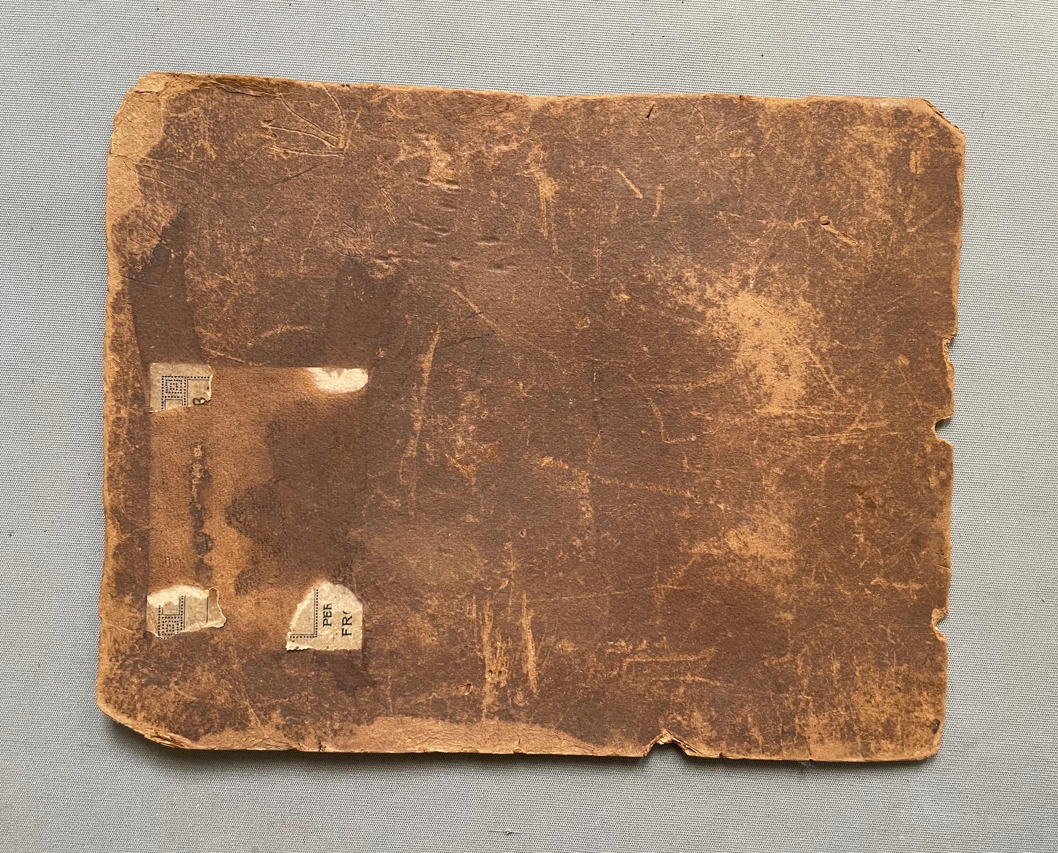Stillleben, Öl auf Karton – Painting von Unknown