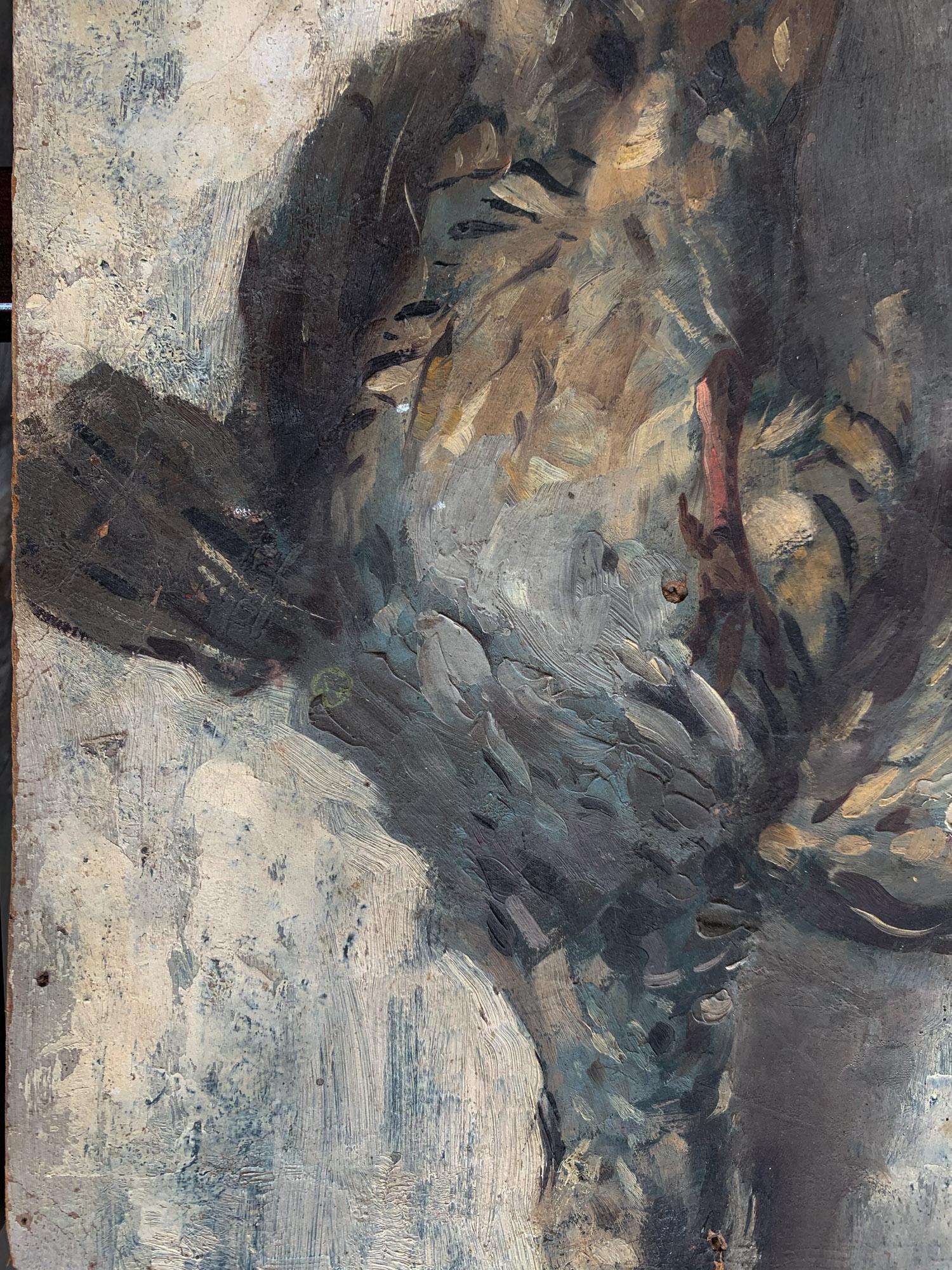 Stillleben Skizze von frisch gepflücktem Wild hängend Öl auf Karton, 23 X 38 Cm – Painting von Unknown