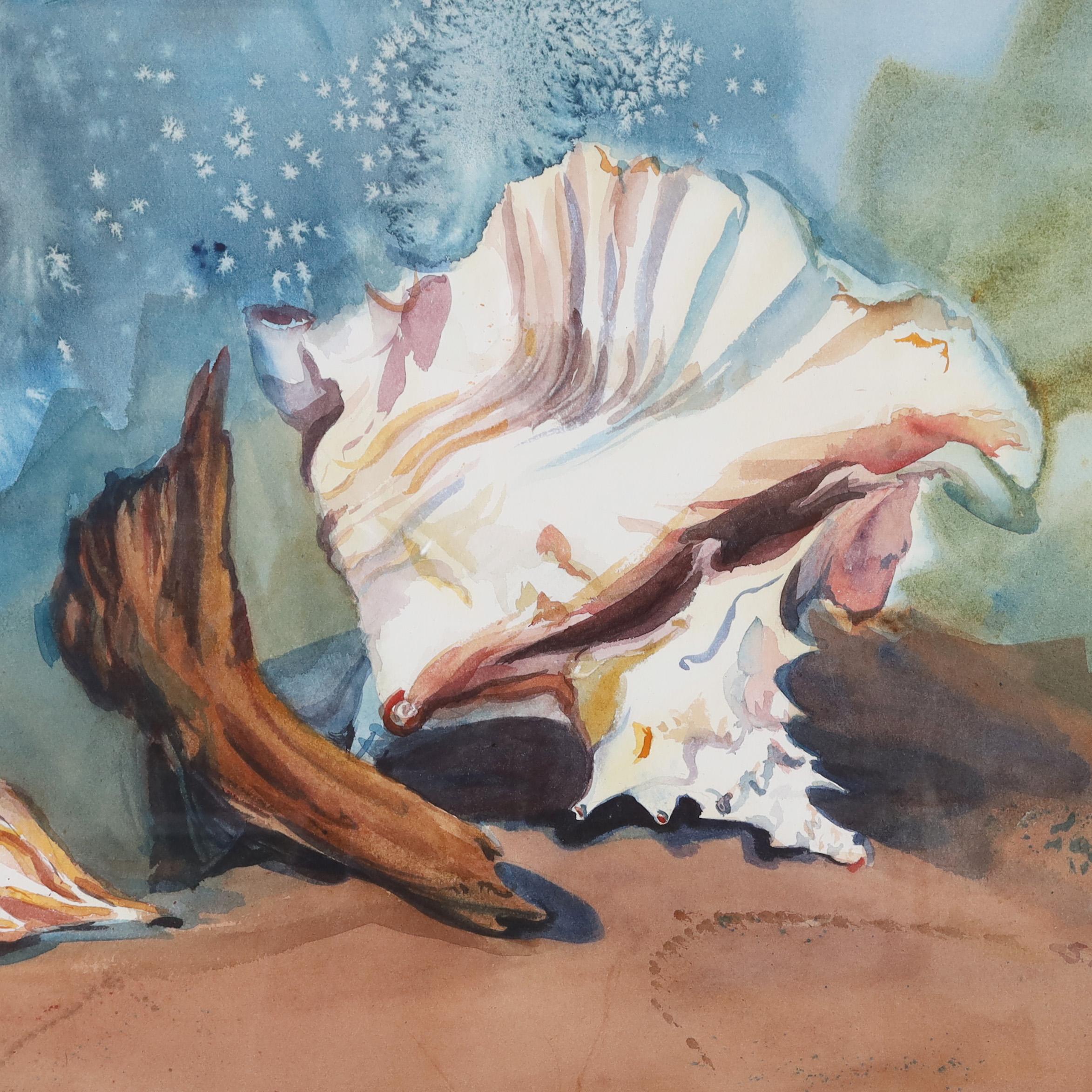 Stillleben Aquarell einer Muschelschale – Painting von Unknown