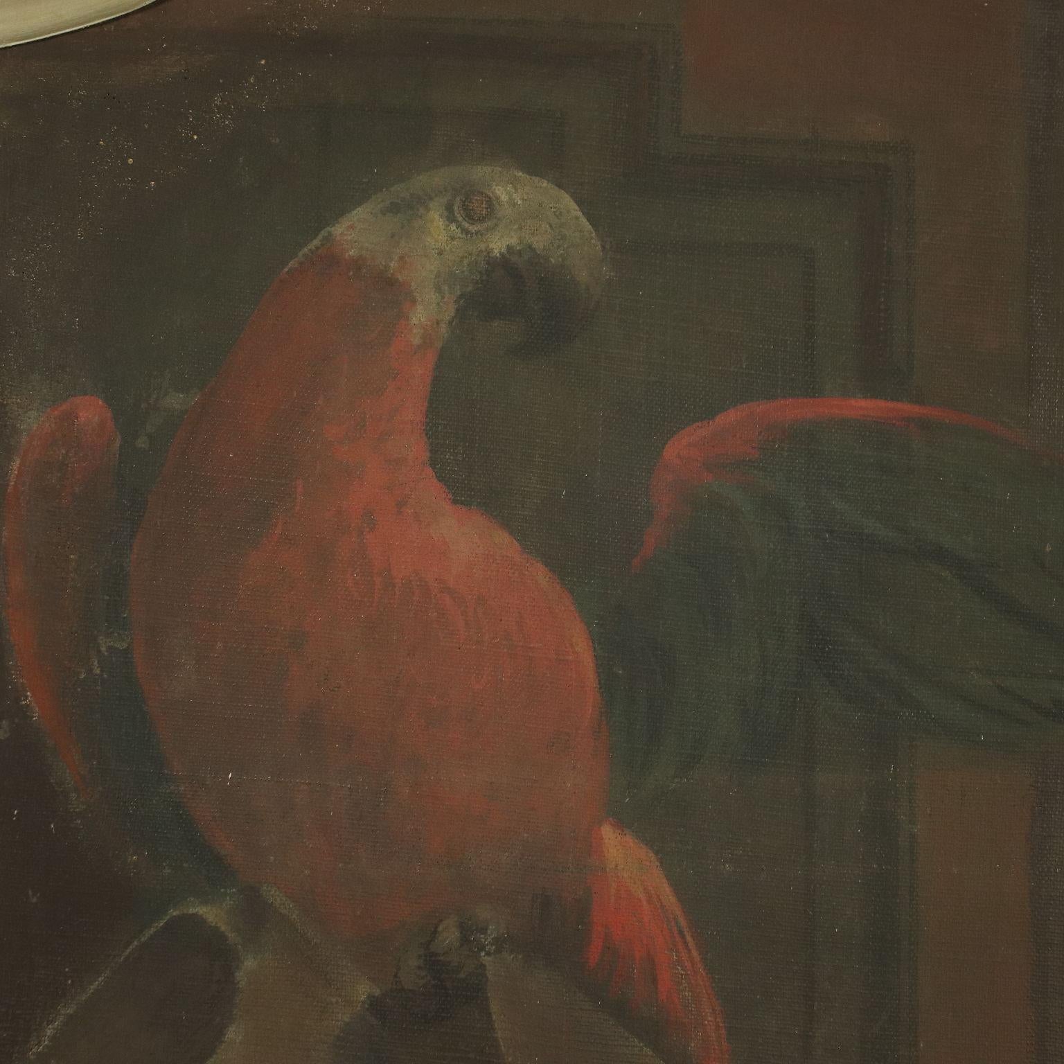 still life with parrot