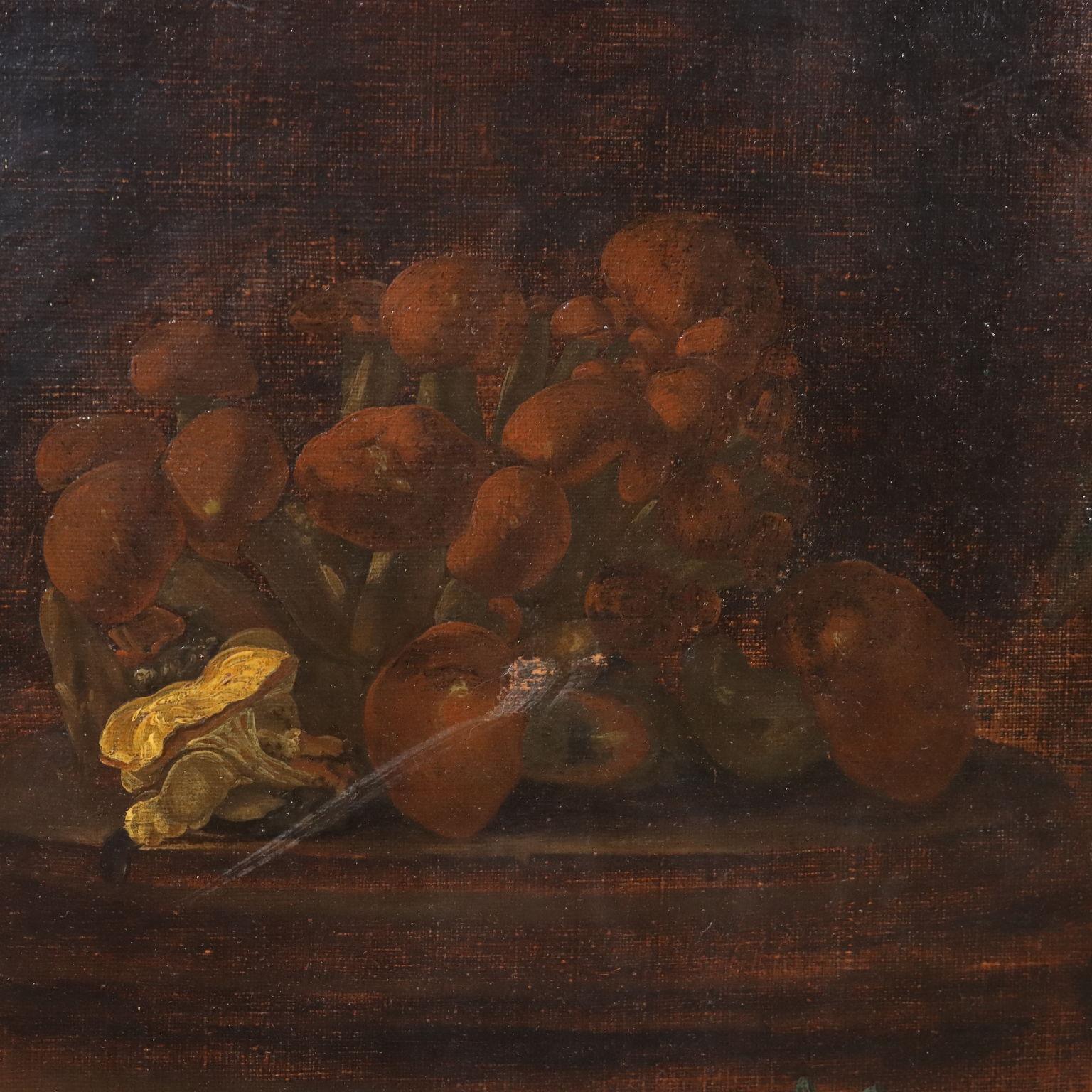 Nature morte avec fleurs, raisins et champignons, XVIIe - XVIIIe siècle - Noir Still-Life Painting par Unknown