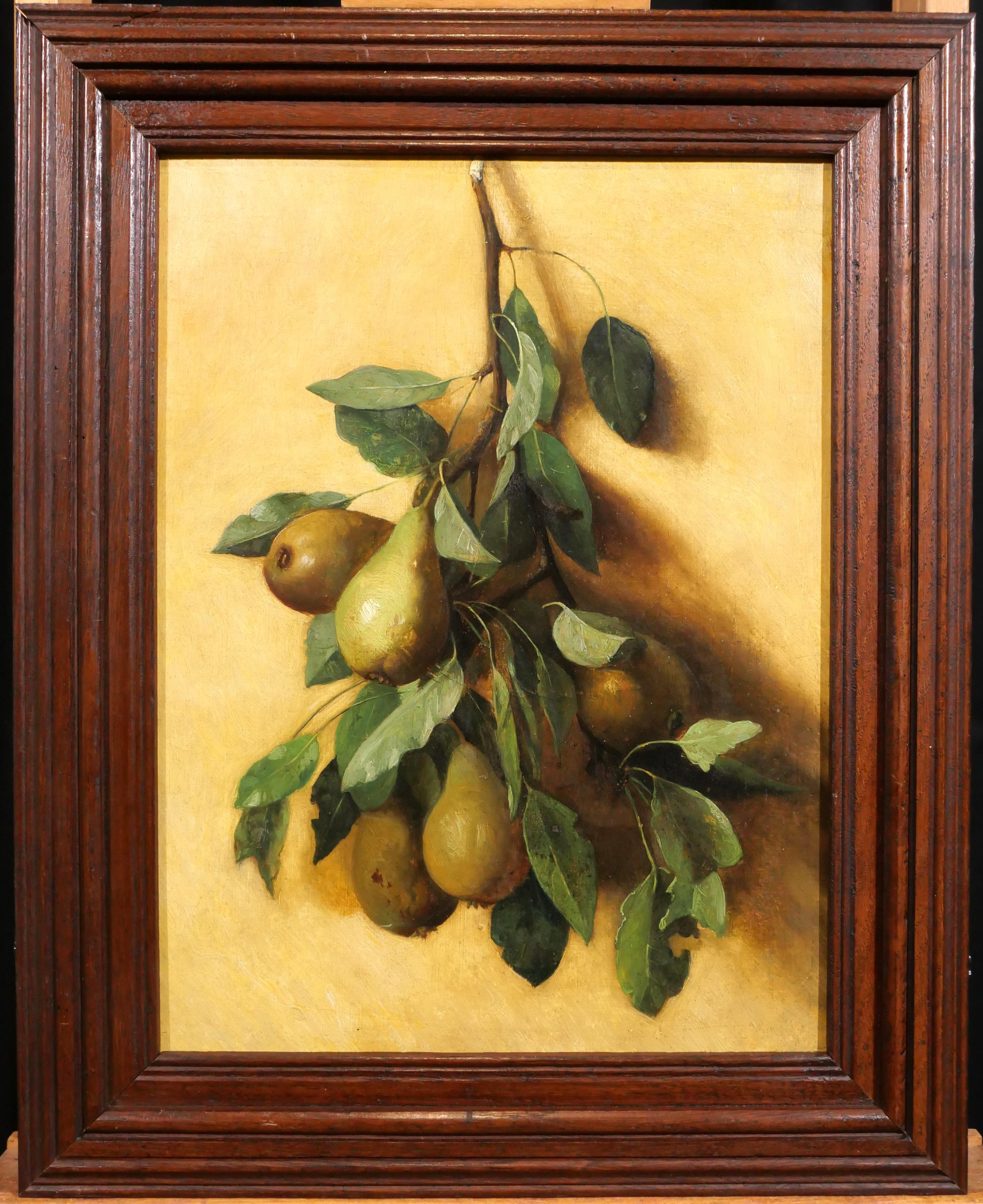 Still life with pears - Painting by Unknown