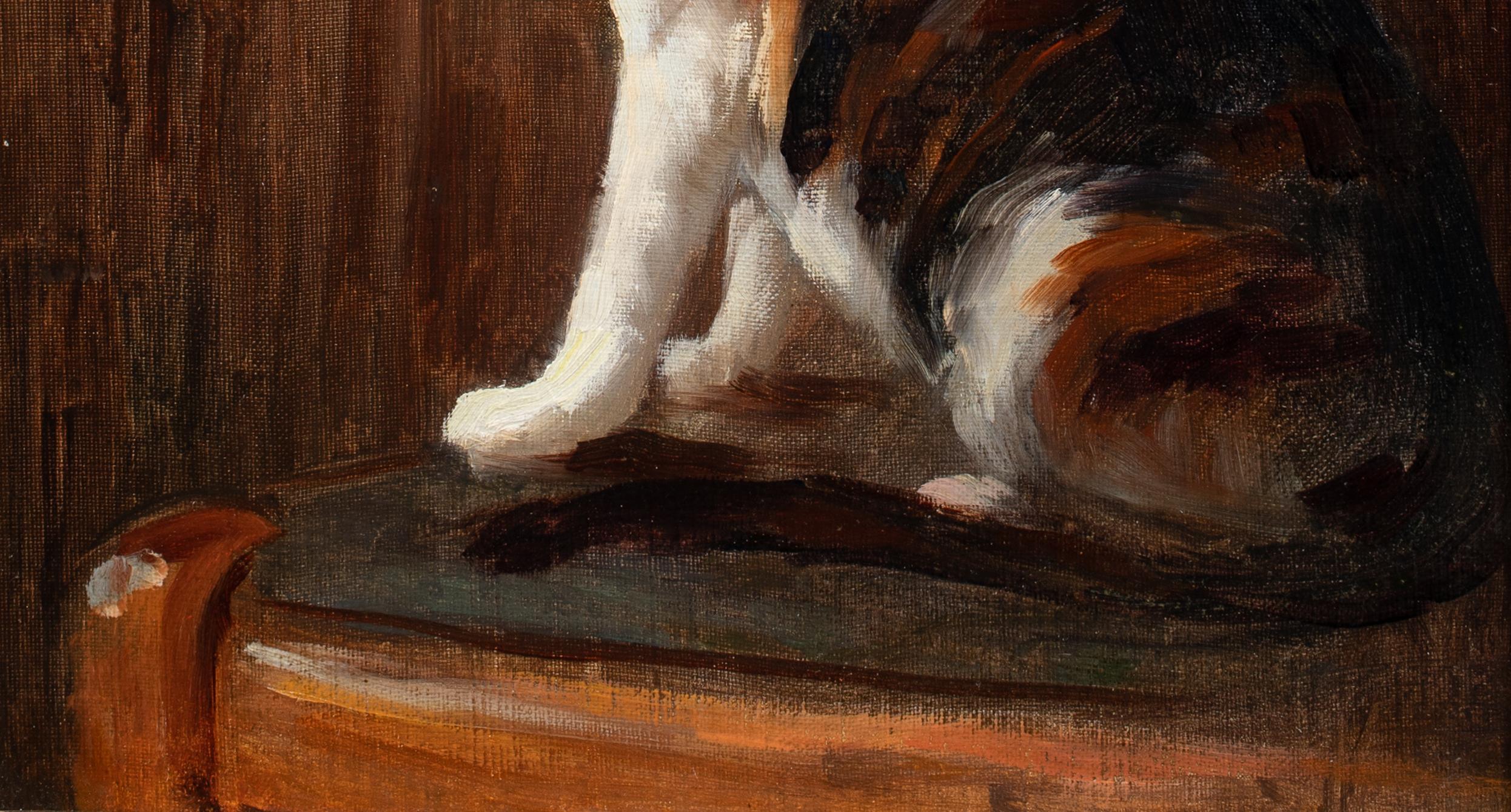 Study Of A Cat, 19th century  attributed to Théophile Alexandre STEINLEN  For Sale 2