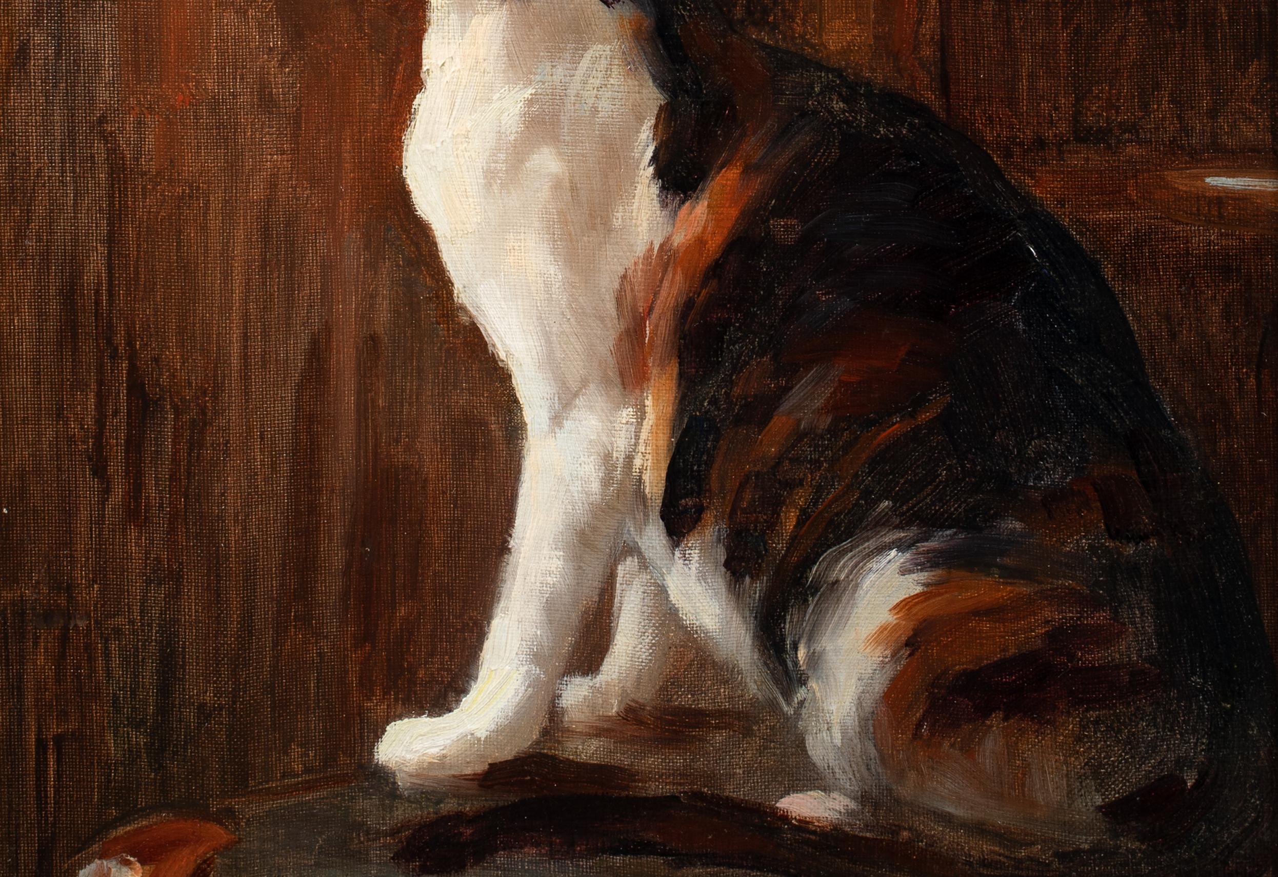 Study Of A Cat, 19th century  attributed to Théophile Alexandre STEINLEN  For Sale 3