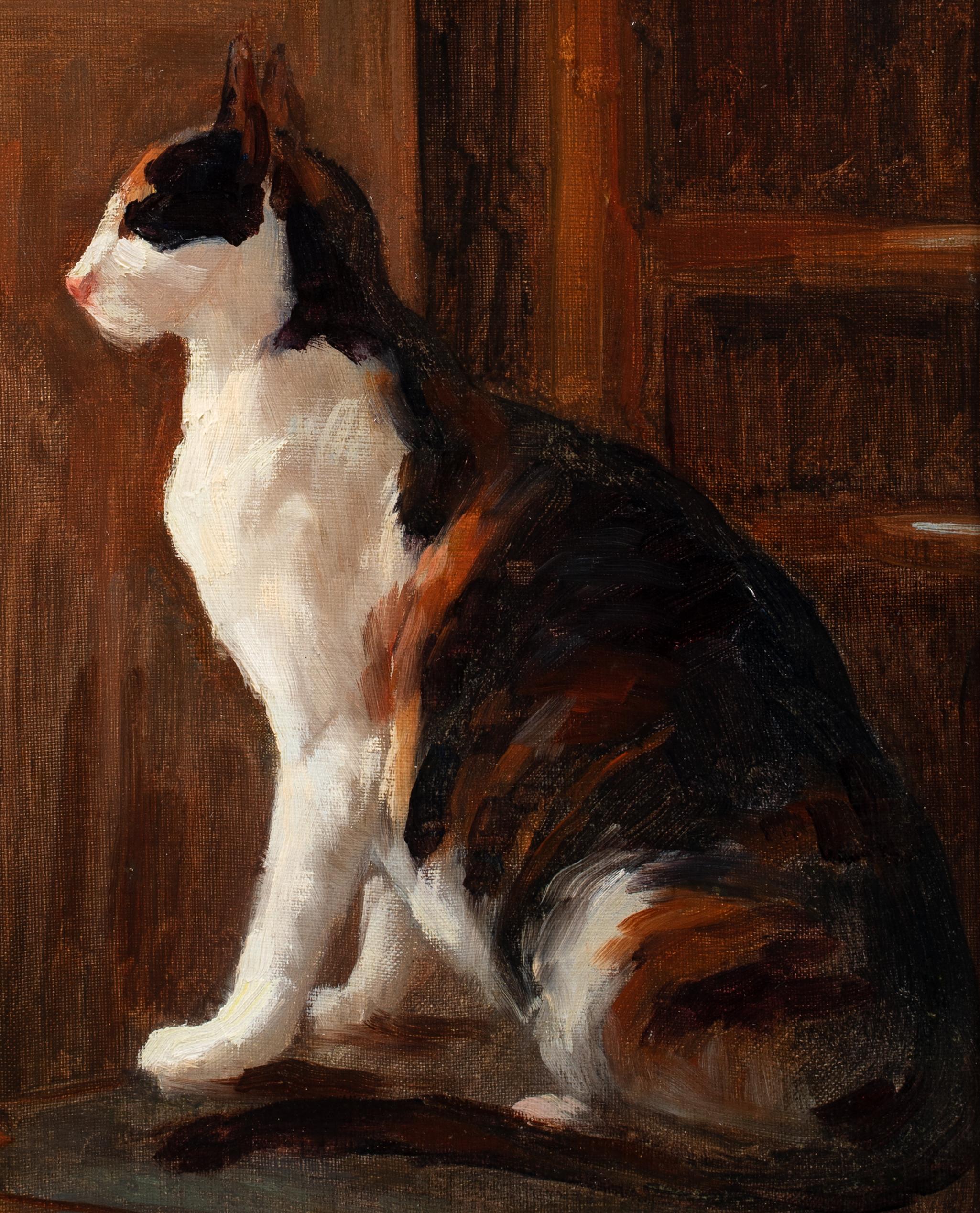 Study Of A Cat, 19th century  attributed to Théophile Alexandre STEINLEN  For Sale 4