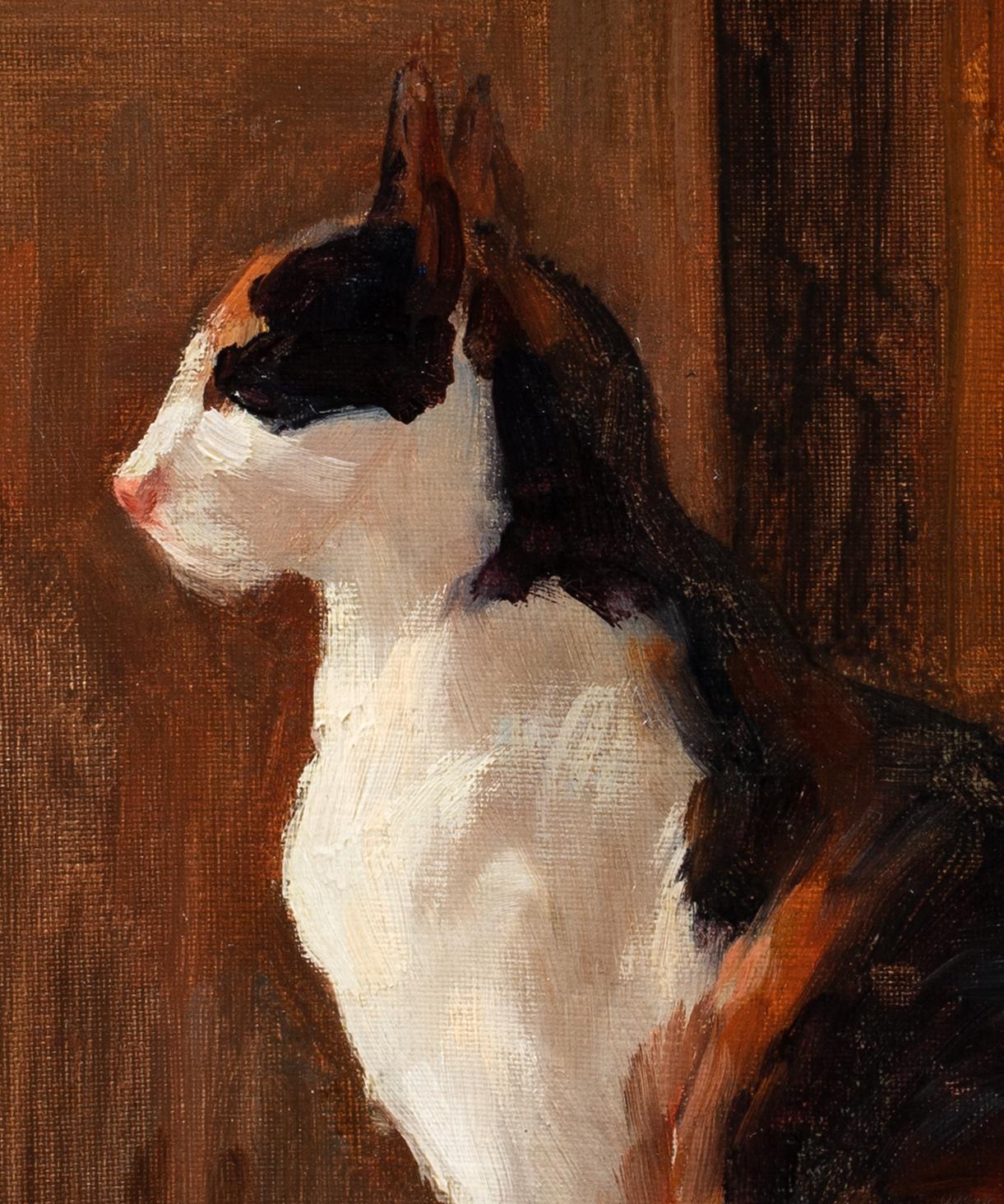 Study Of A Cat, 19th century  attributed to Théophile Alexandre STEINLEN  For Sale 5