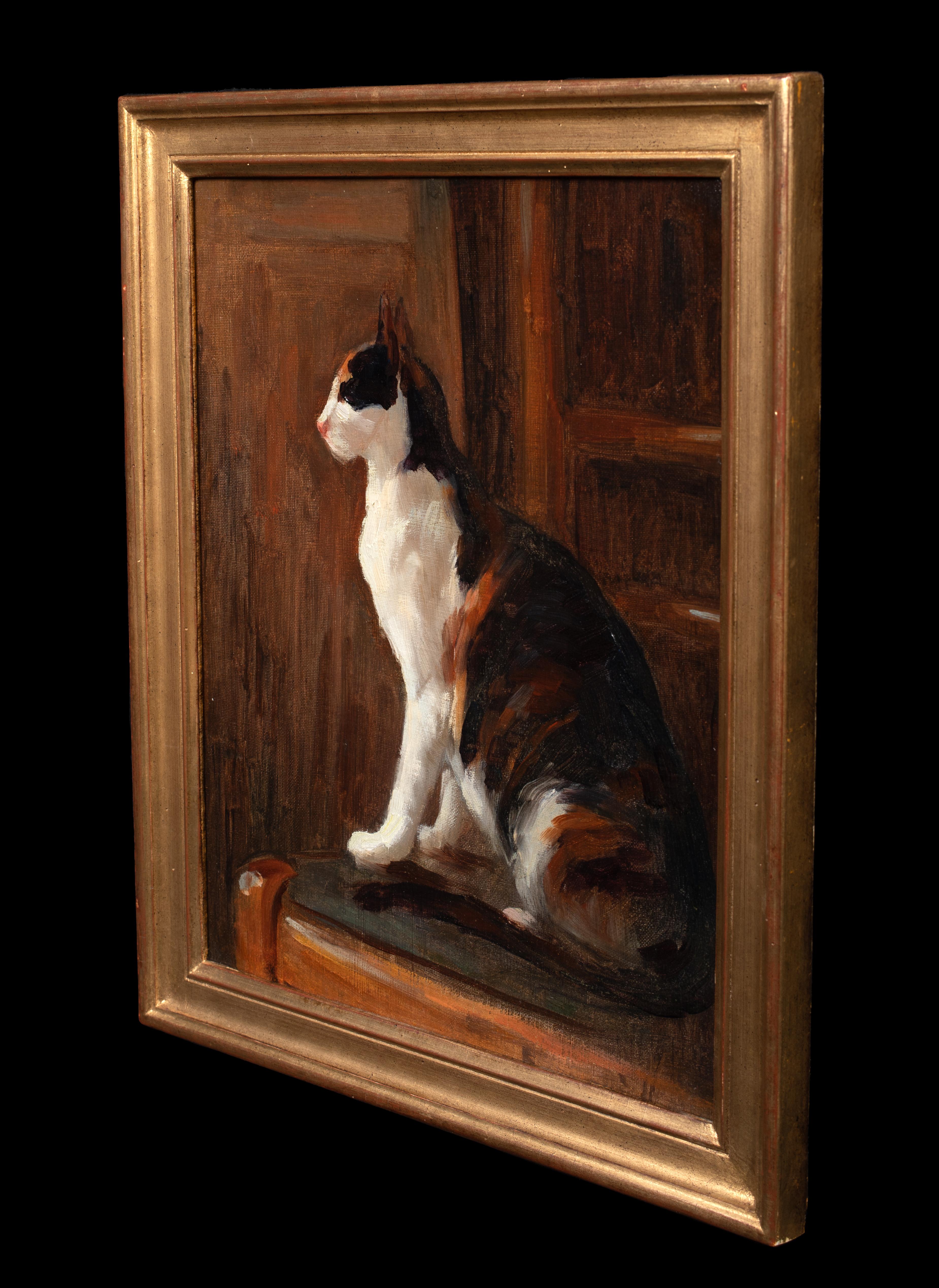 Study Of A Cat, 19th century  attributed to Théophile Alexandre STEINLEN  For Sale 6