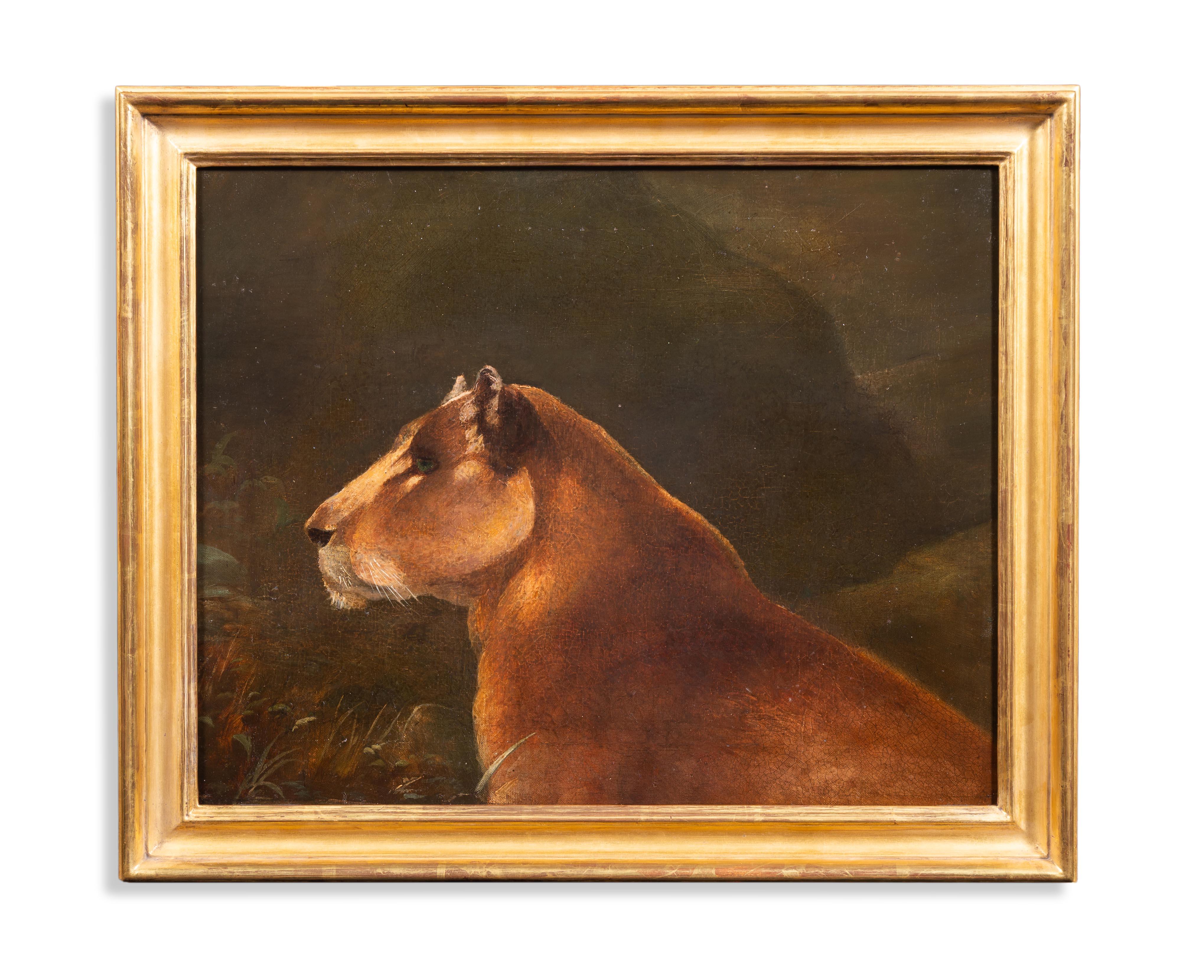 Unknown Animal Painting - Study of a Lioness