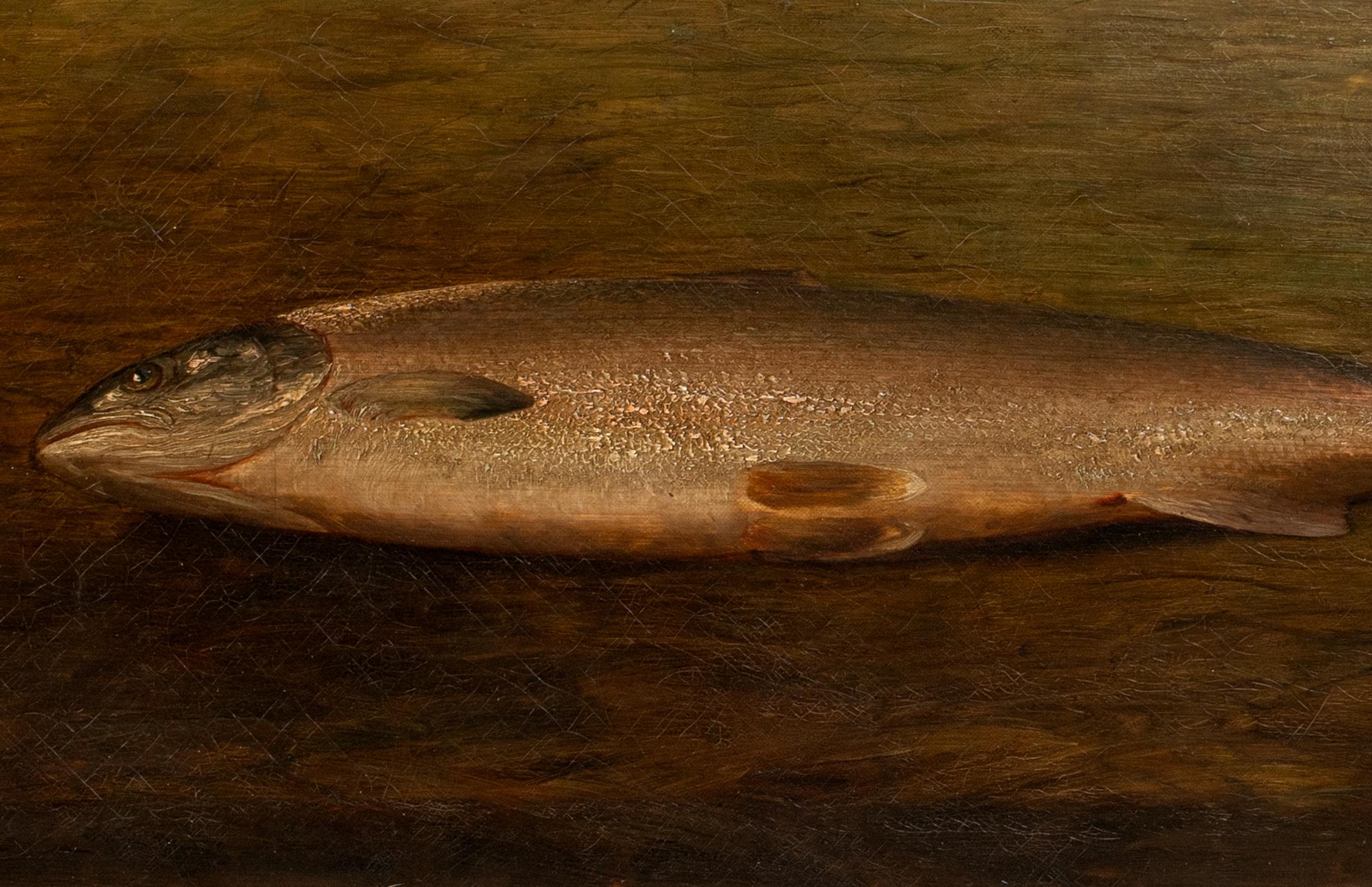 Study Of A Trout, 19th century  British School  For Sale 6