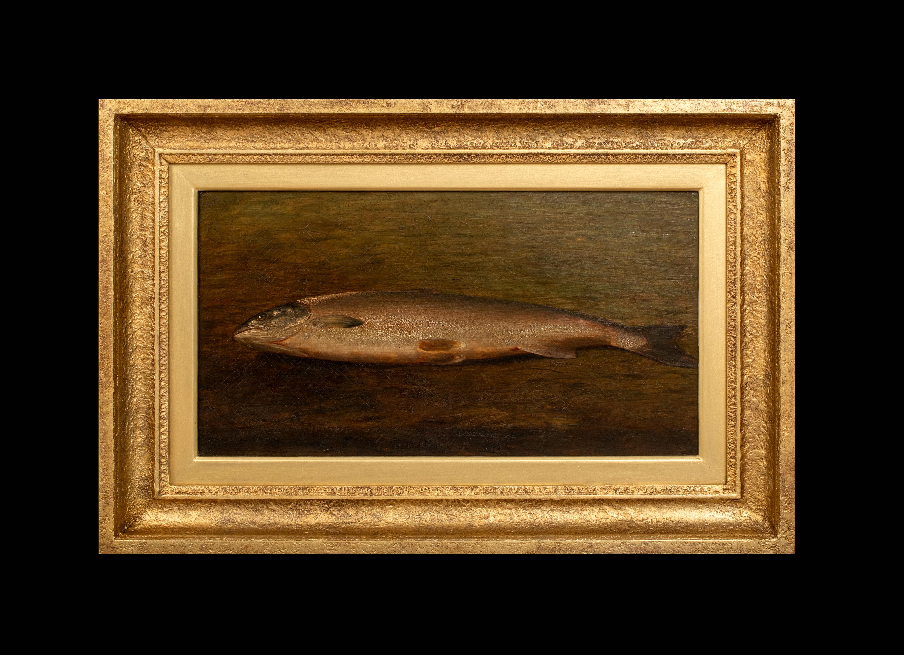 Study Of A Trout, 19th century  British School  - Painting by Unknown