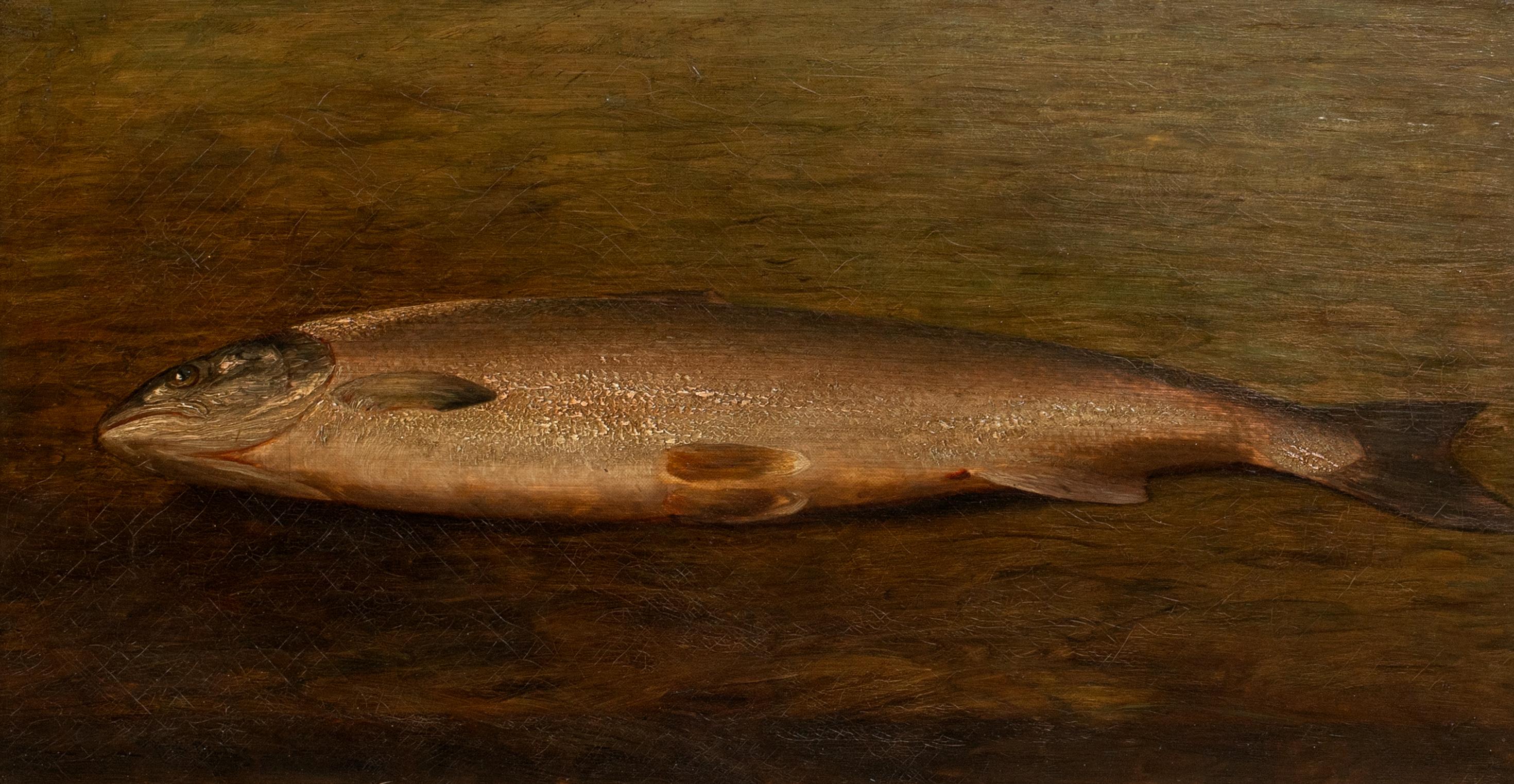 Study Of A Trout, 19th century  British School  - Brown Nude Painting by Unknown