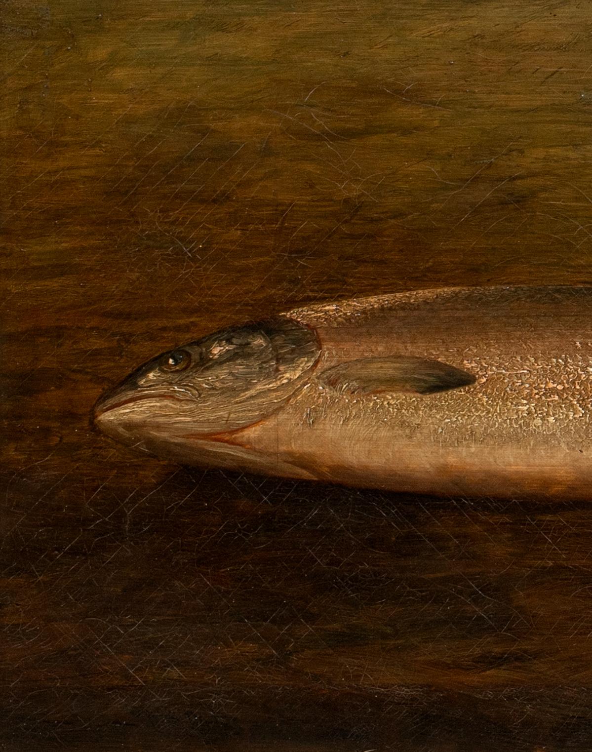 Study Of A Trout, 19th century  British School  For Sale 1
