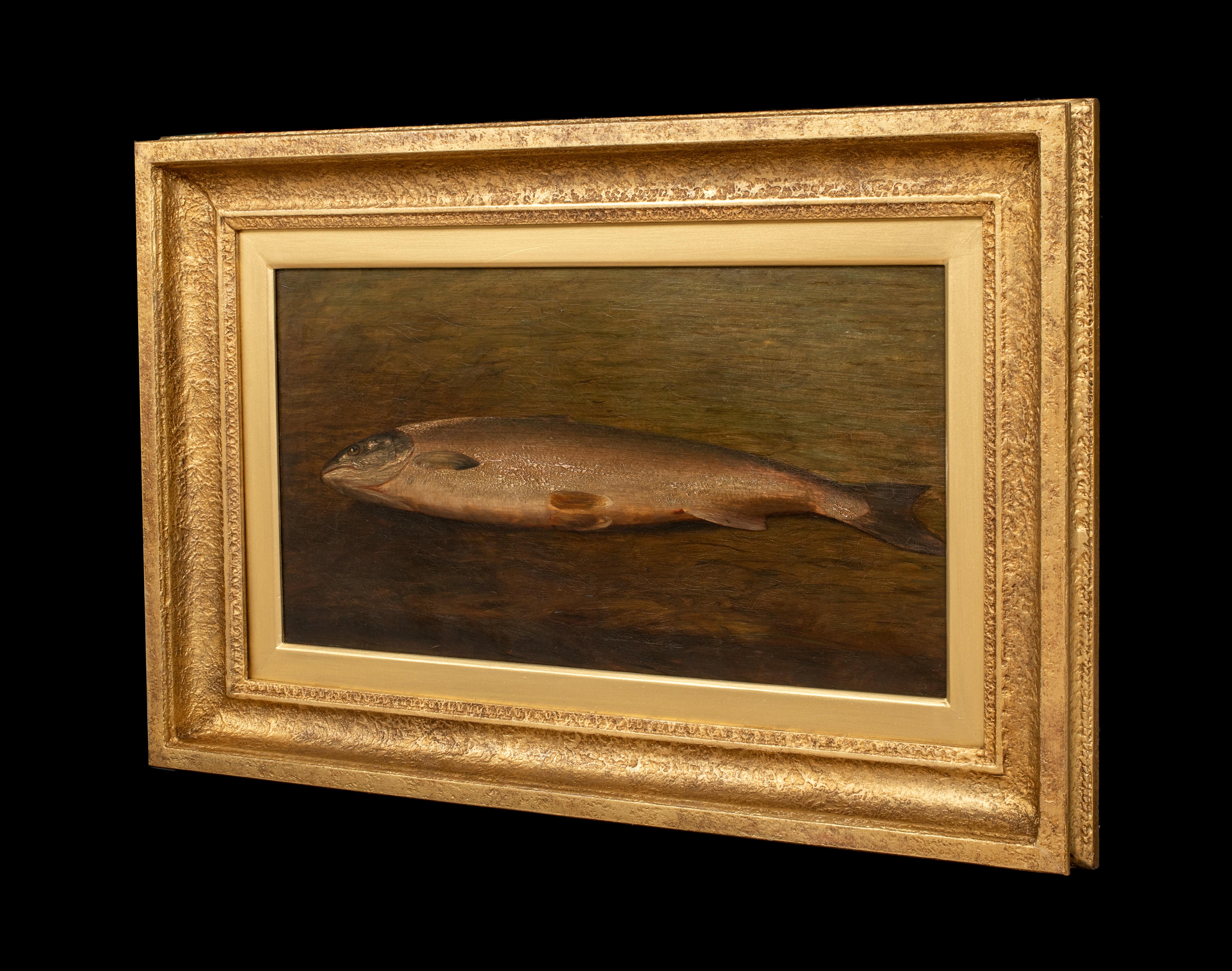 Study Of A Trout, 19th century  British School  For Sale 3
