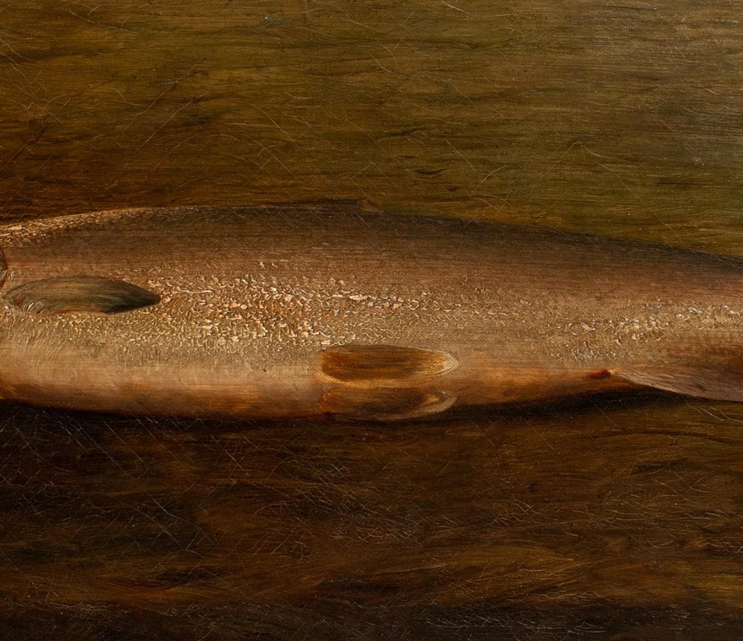 Study Of A Trout, 19th century  British School  For Sale 4