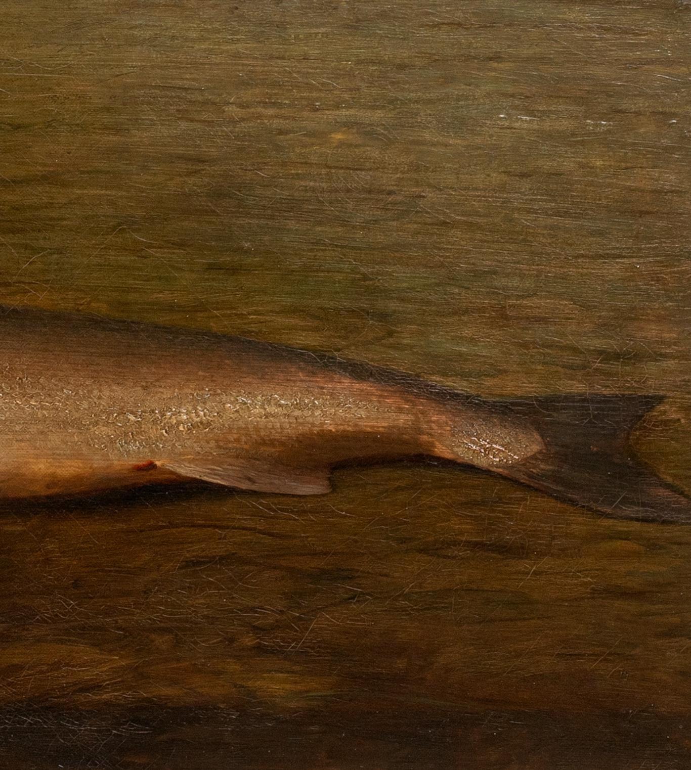 Study Of A Trout, 19th century  British School  For Sale 5