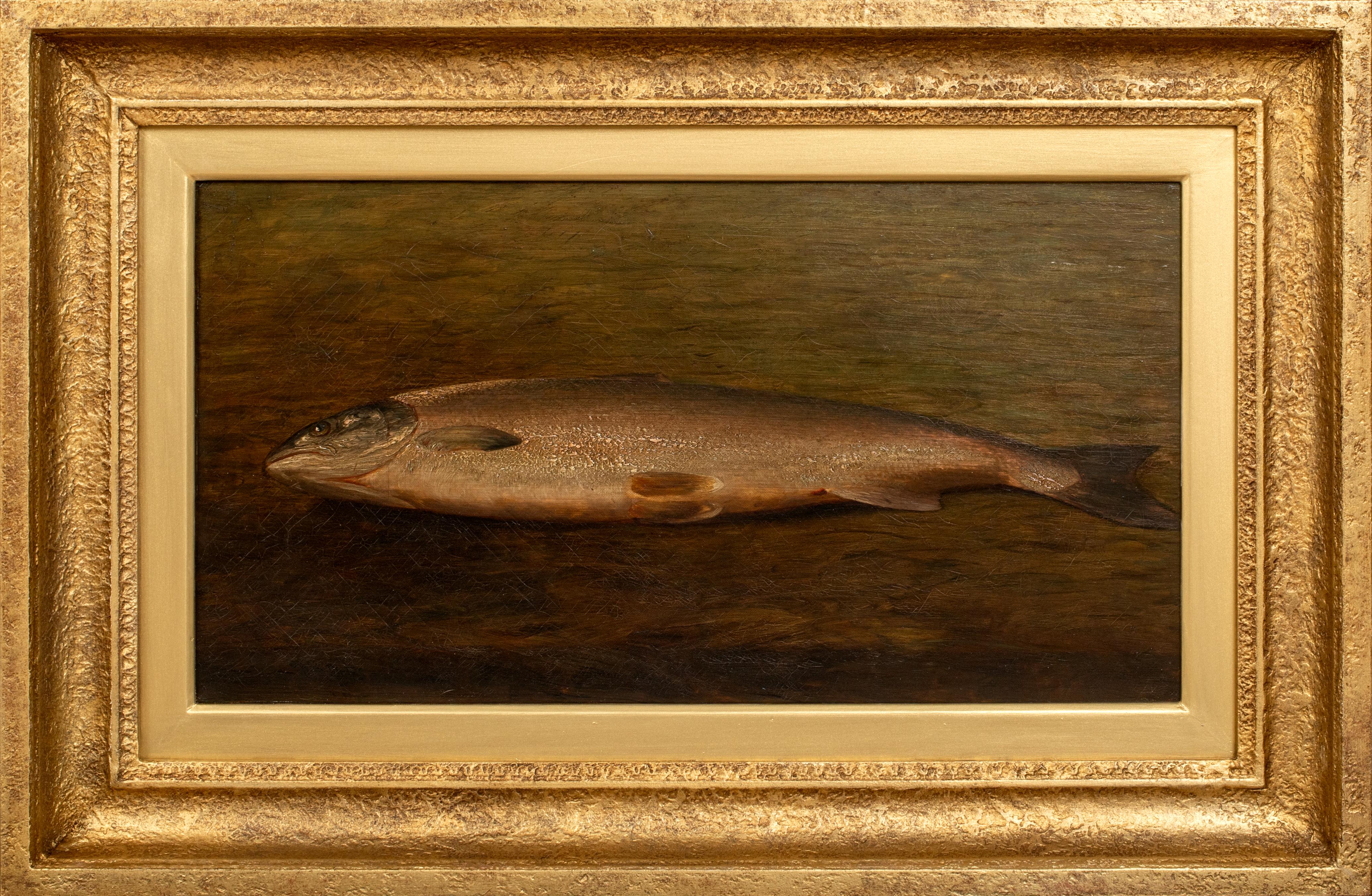 Unknown Nude Painting - Study Of A Trout, 19th century  British School 