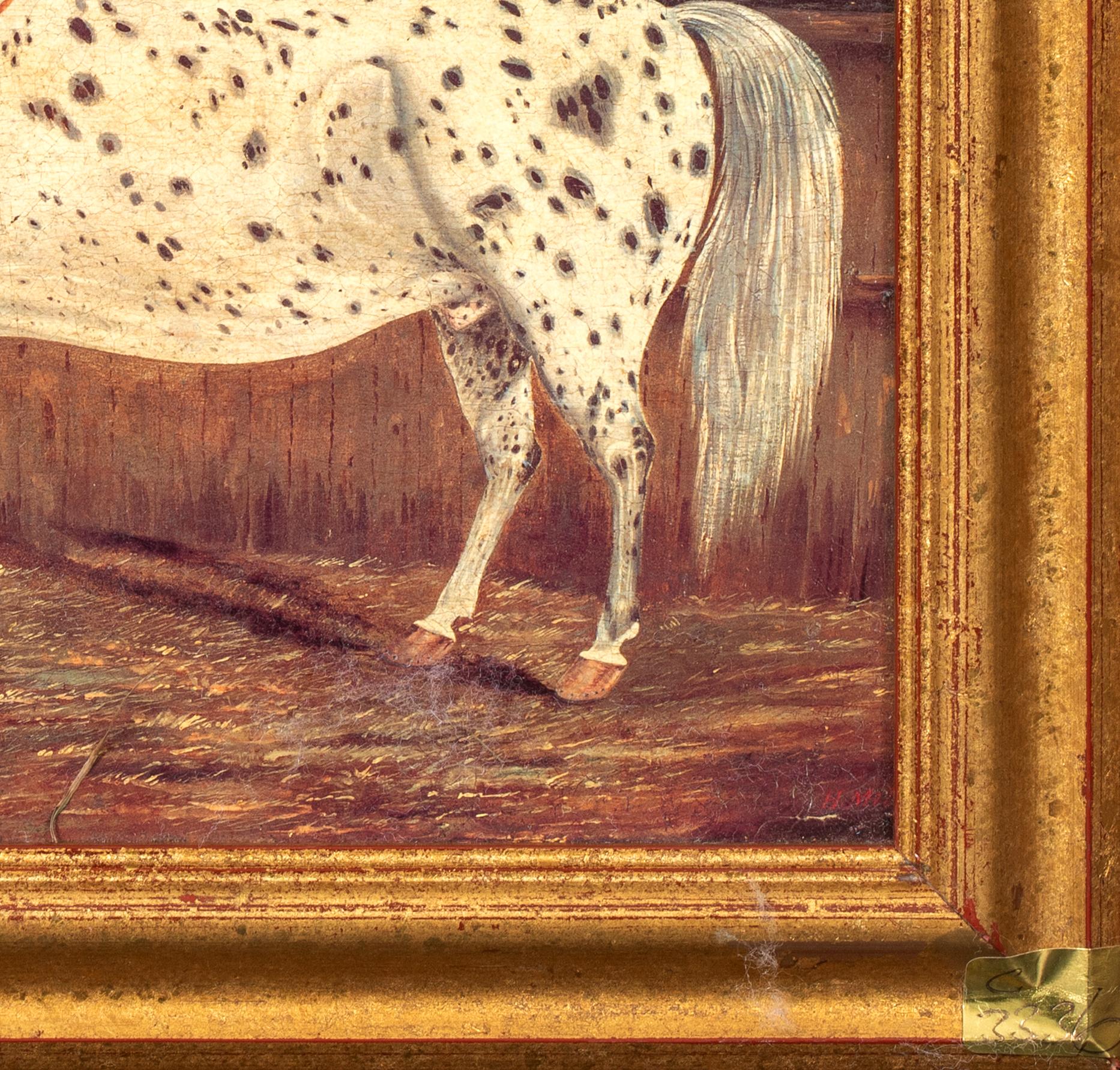 Study of An Appaloosa Horse, 19th Century  by H Milnes (19th Century British) For Sale 1