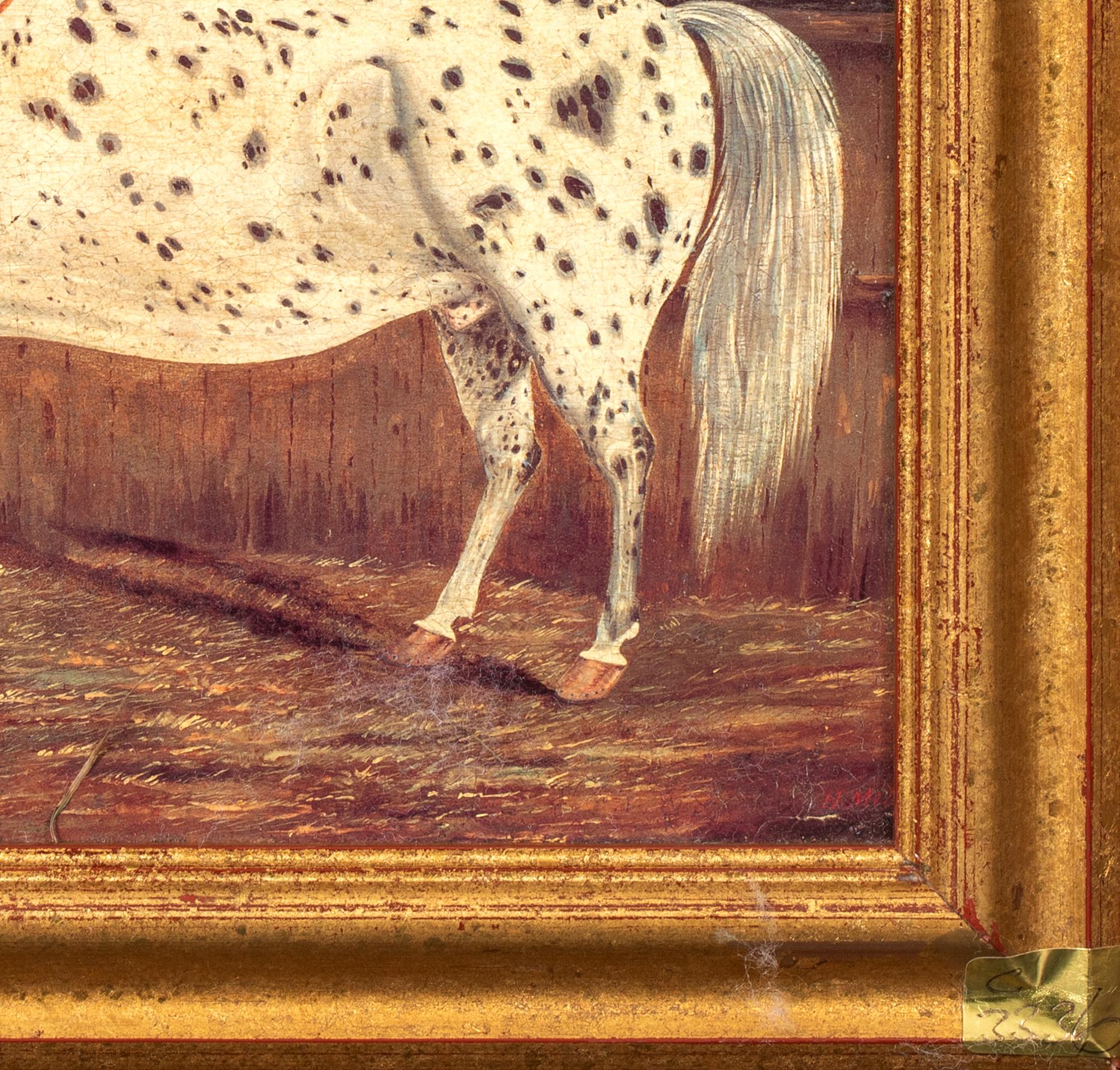Étude d'un cheval appaloosa, 19e siècle

par H Milnes (19ème siècle britannique)

Portrait d'un cheval Appaloosa dans une cour, huile sur carton de H Milnes, 19e siècle. Rare portrait ancien de la race devenue populaire dans les Amériques depuis son
