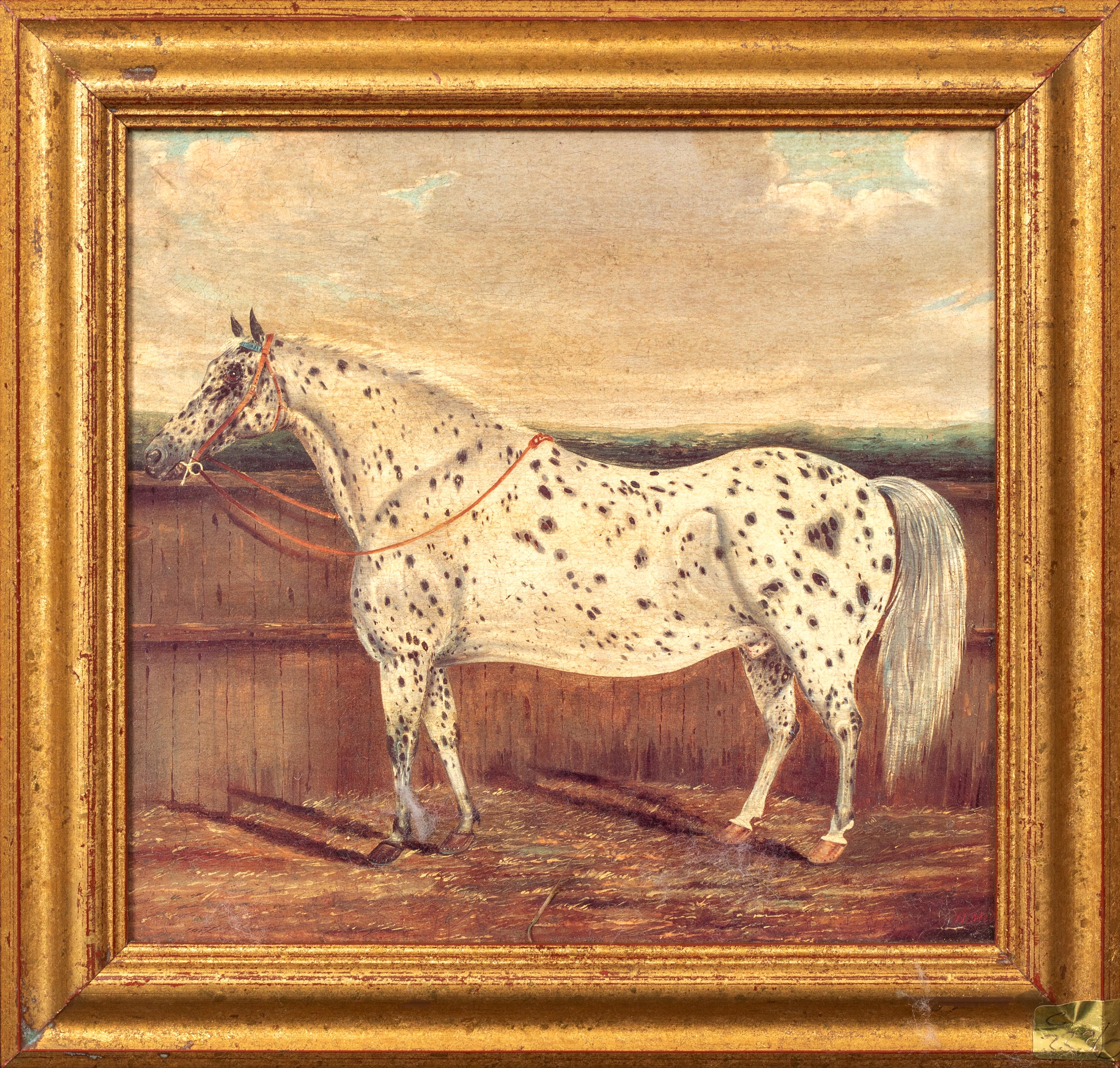 Animal Painting Unknown - Étude d'un cheval appaloosa, 19e siècle  par H Milnes (19ème siècle britannique)