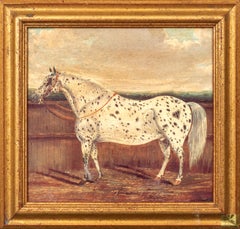 Étude d'un cheval appaloosa, 19e siècle  par H Milnes (19ème siècle britannique)