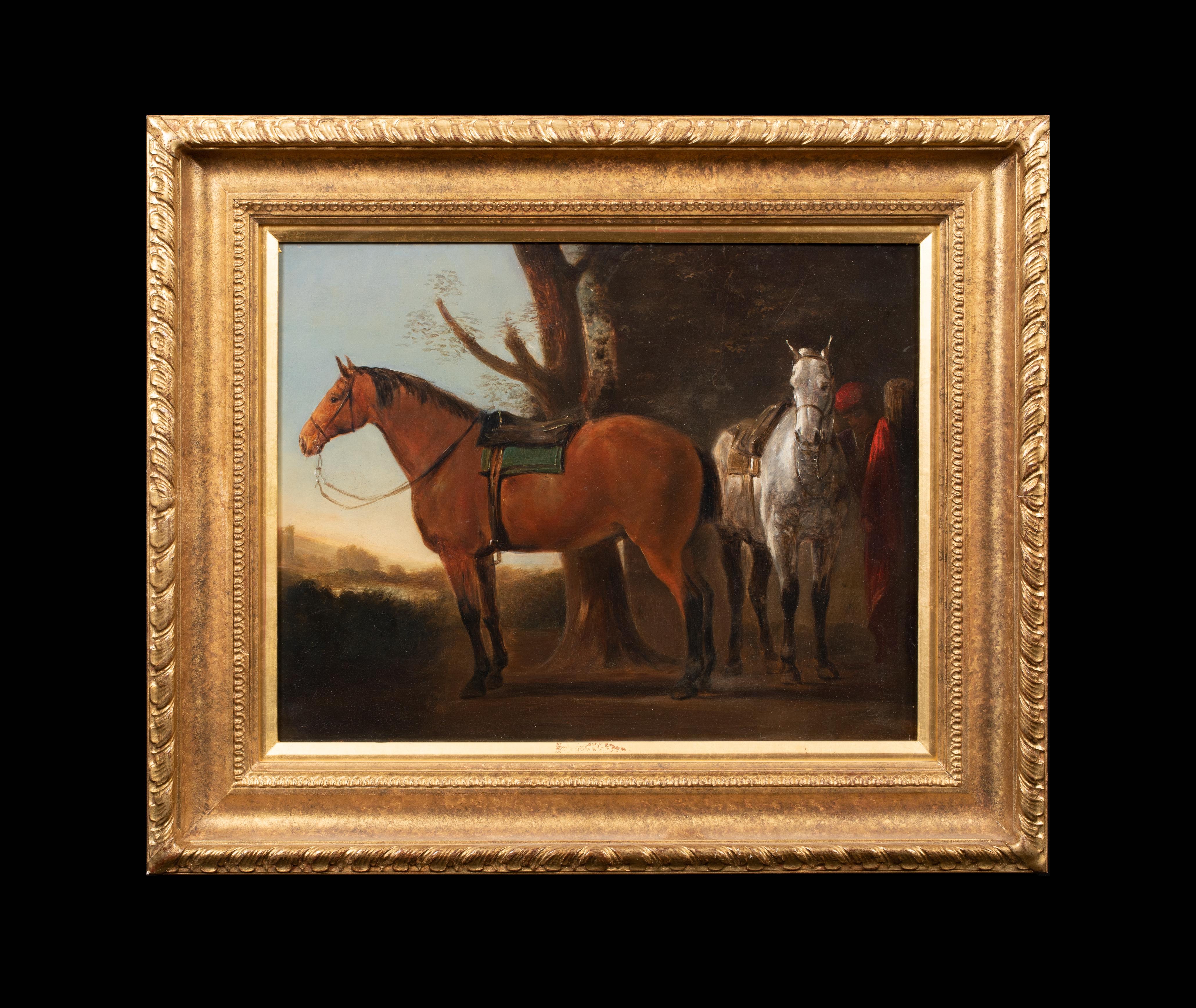 Study Of Horses. 19th Century  by William Henry WHEELWRIGHT (1820-1897) sales to - Painting by Unknown