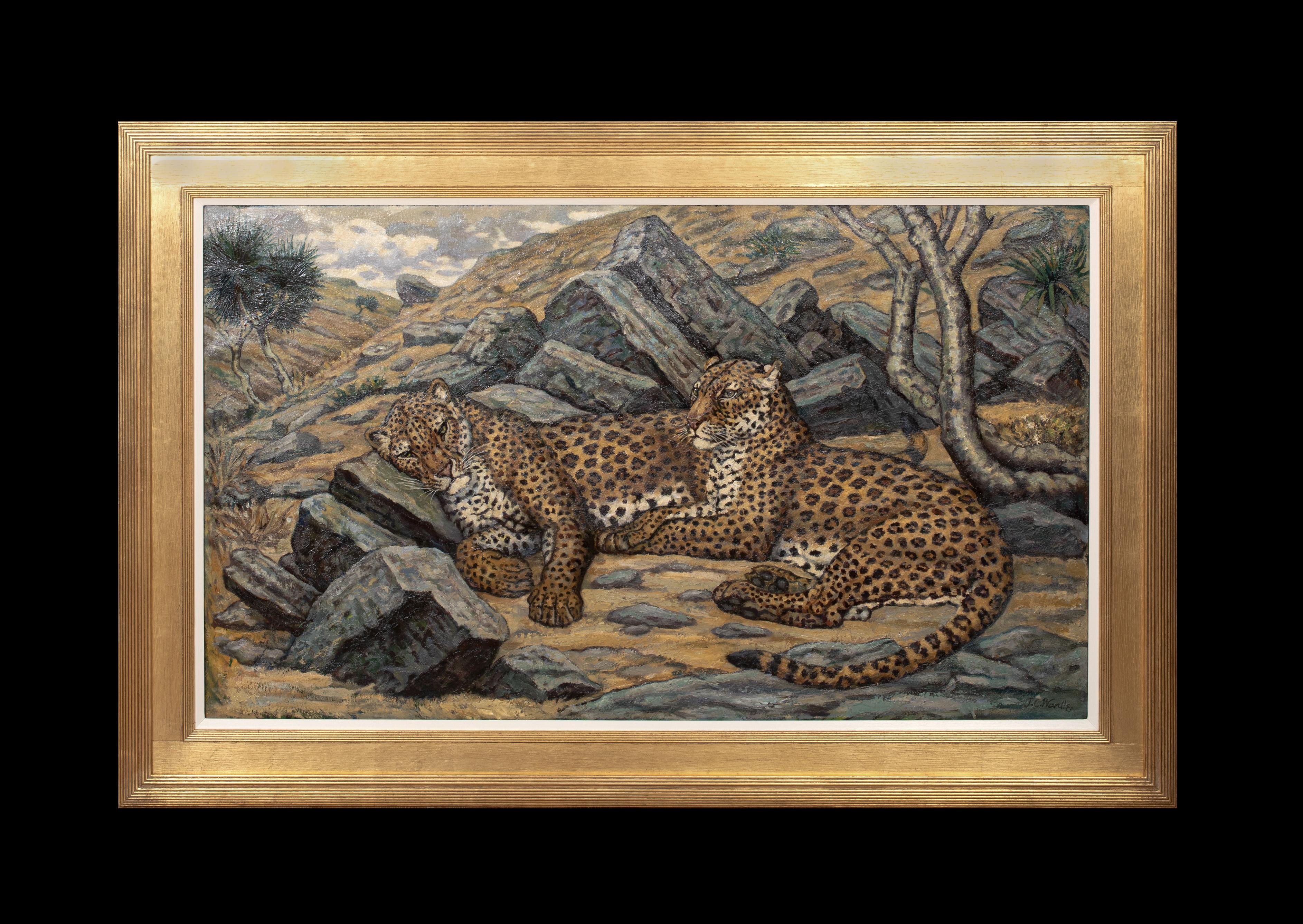 Étude de léopards, début du 20e siècle  par John Wardle - Painting de Unknown