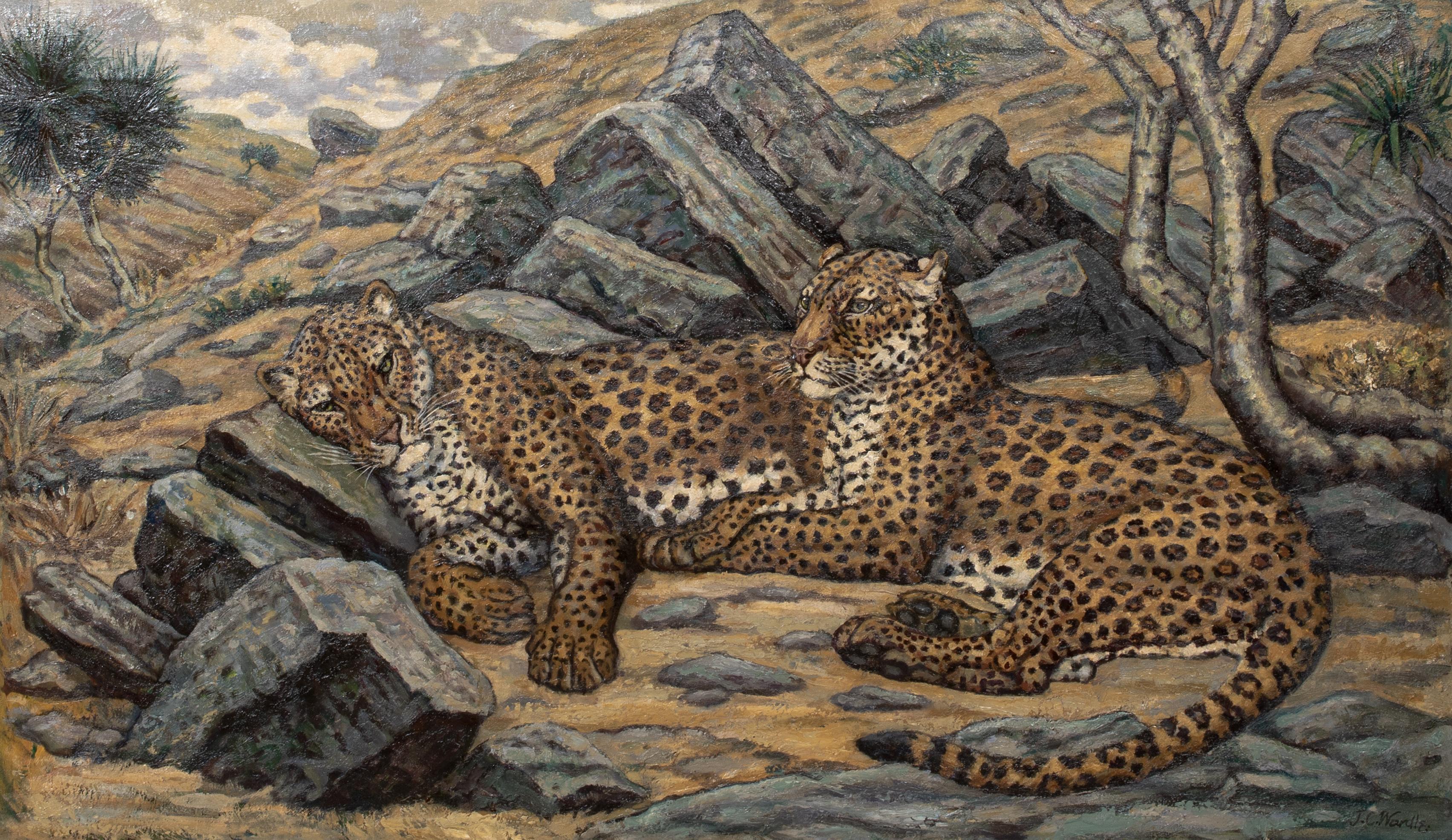 Étude de léopards, début du 20e siècle  par John Wardle - Marron Animal Painting par Unknown