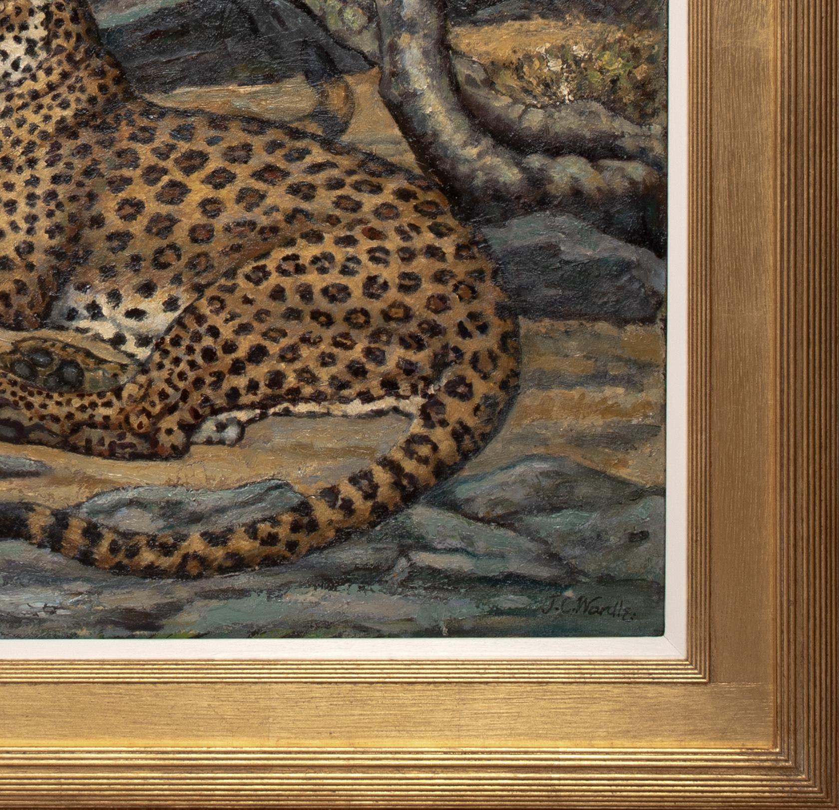Étude de léopards, début du 20e siècle

par John Wardle (début du 20e siècle, britannique)

Grande étude britannique du début du 20e siècle représentant des léopards se reposant dans un paysage rocheux, huile sur toile de John Wardle. Excellente