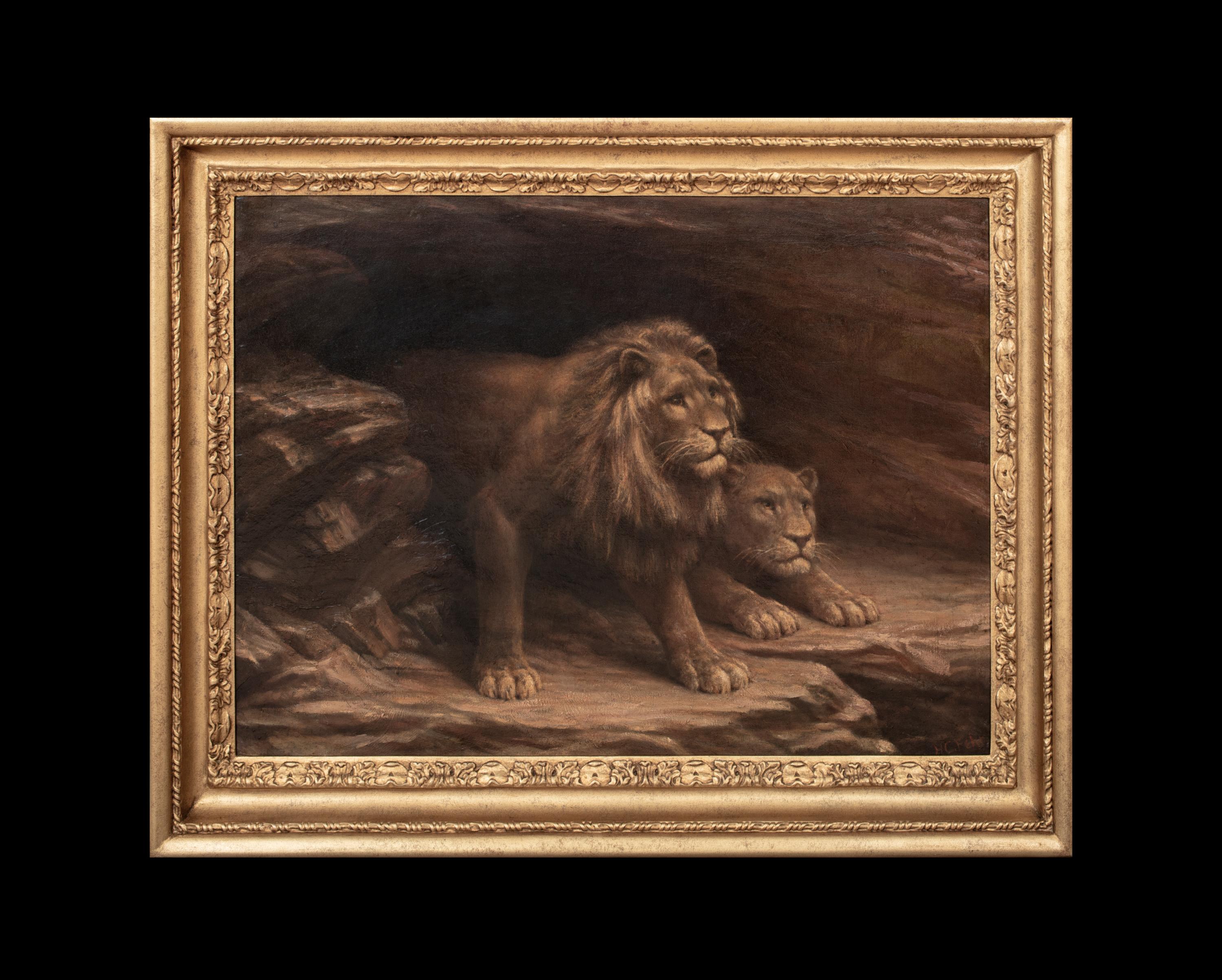 Studie über Löwen, 19. Jahrhundert  M C FEHR (Deutsch) – Painting von Unknown