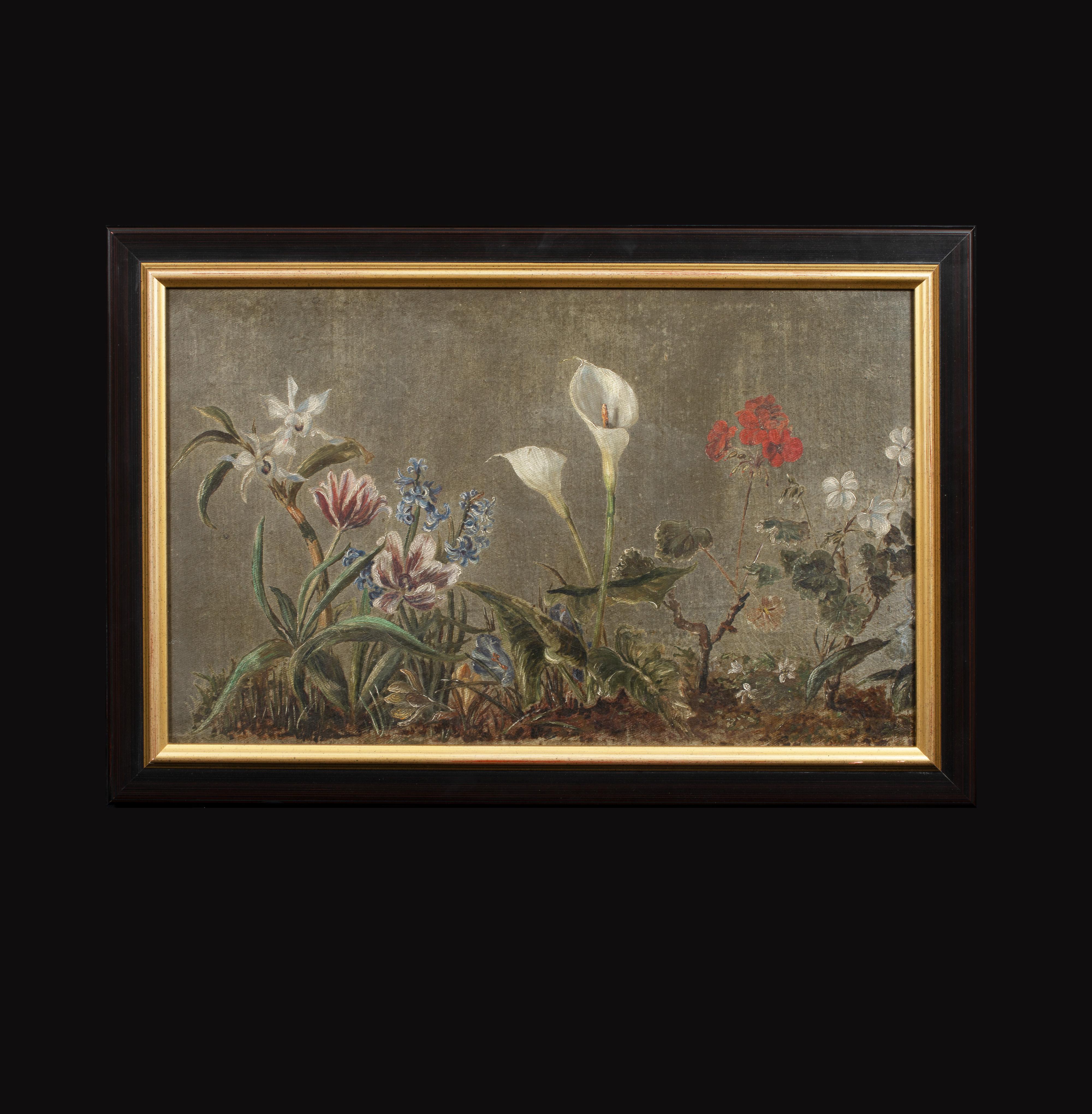 Study of  orchid, tulips, hyacinths, crocuses, peace lily and geraniums - Painting by Unknown