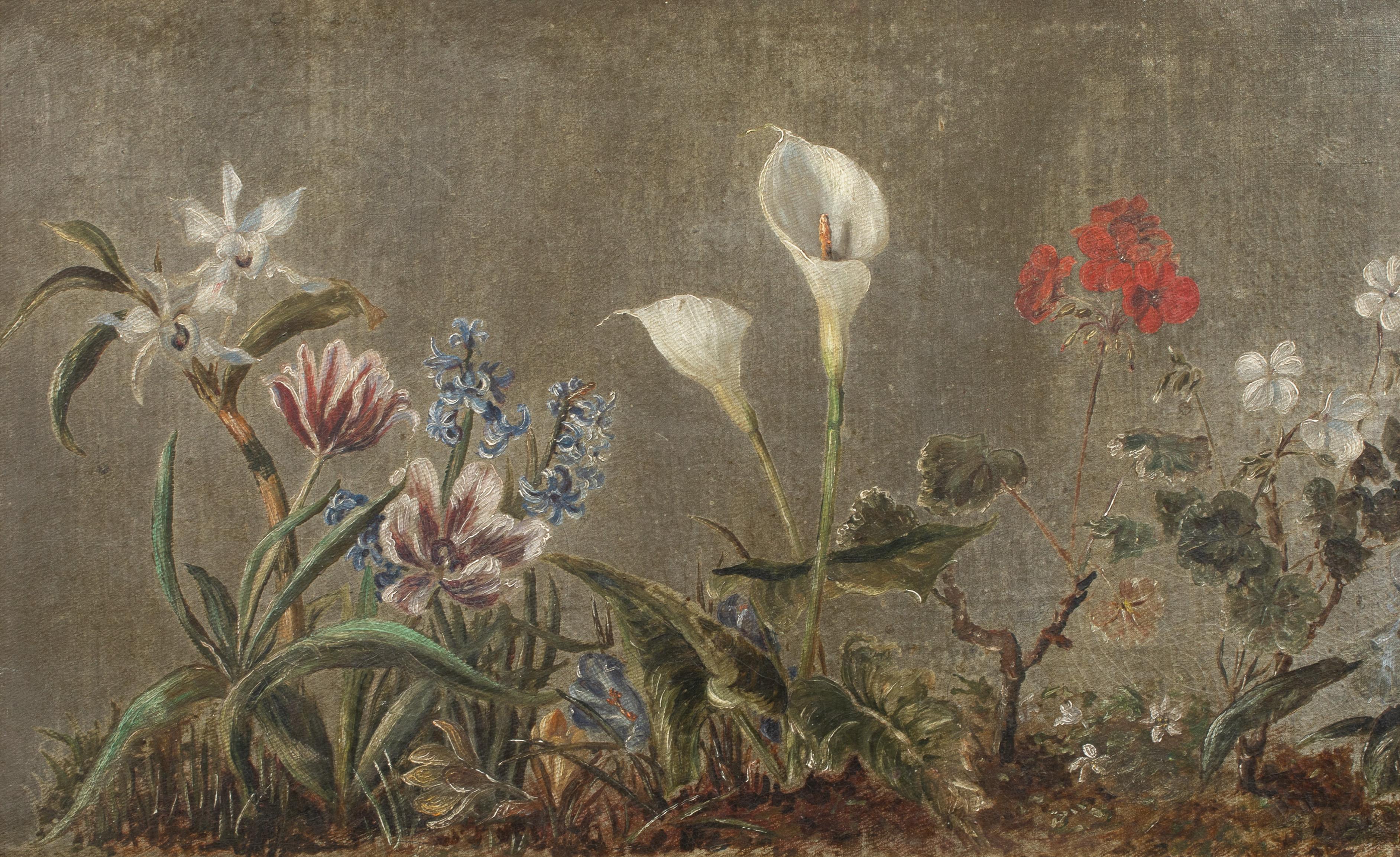 Unknown Still-Life Painting - Study of  orchid, tulips, hyacinths, crocuses, peace lily and geraniums