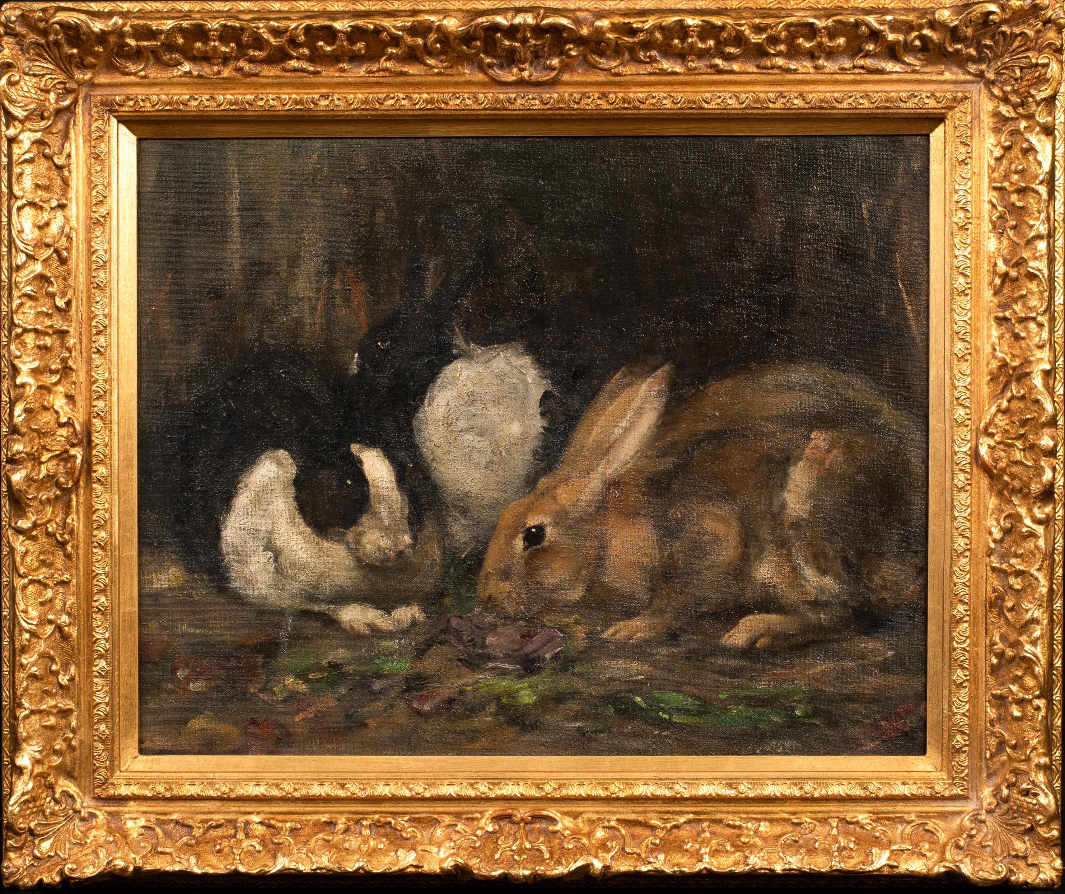 Study Of Rabbits Eating, early 20th century   English School - Black Portrait Painting by Unknown