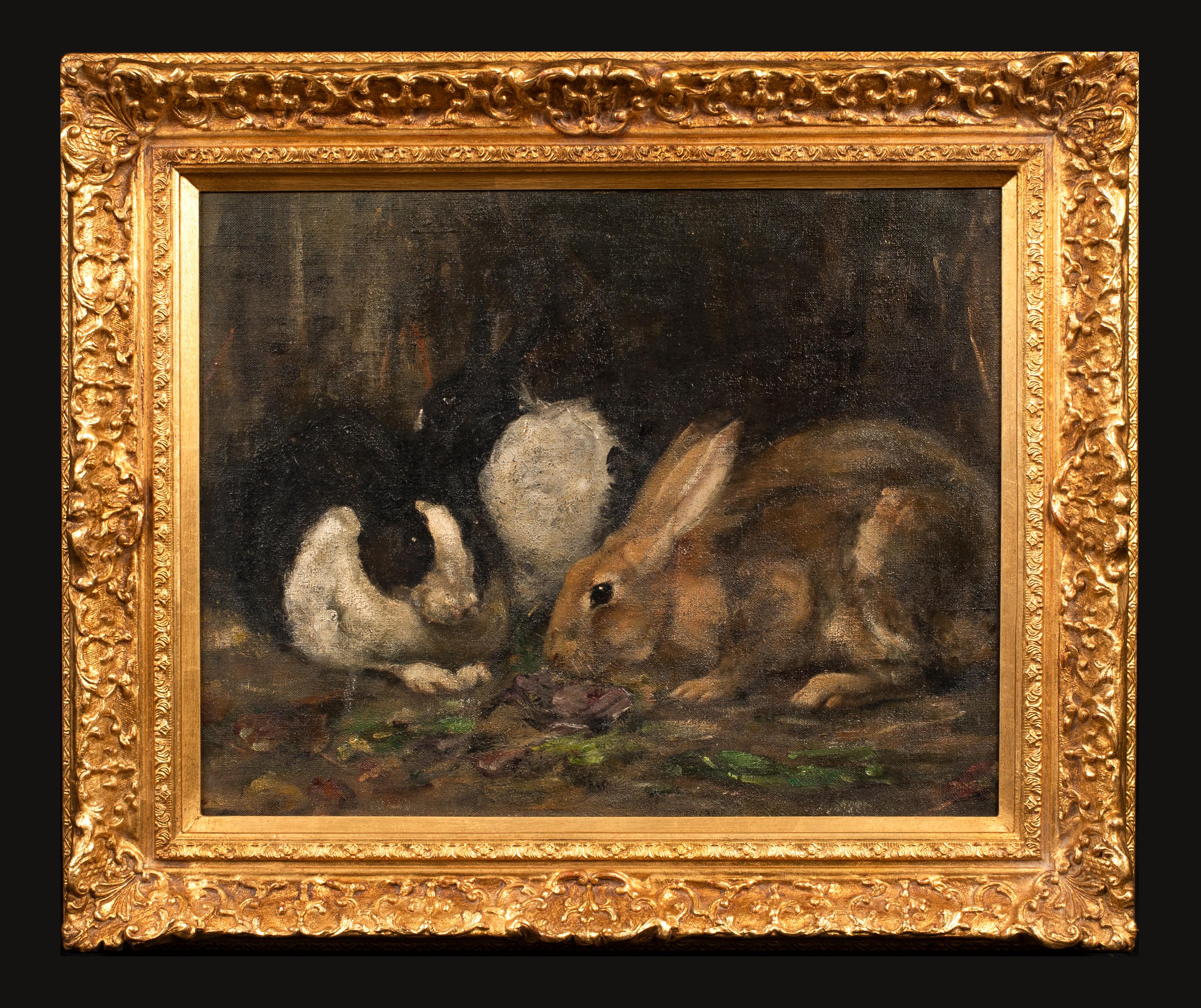 Study Of Rabbits Eating, early 20th century 

English School

Fine Early 20th century English School study of rabbits feeding, oil on board. Good quality and condition study of the three rabbits eating in a corner. Good detail by an accomplished