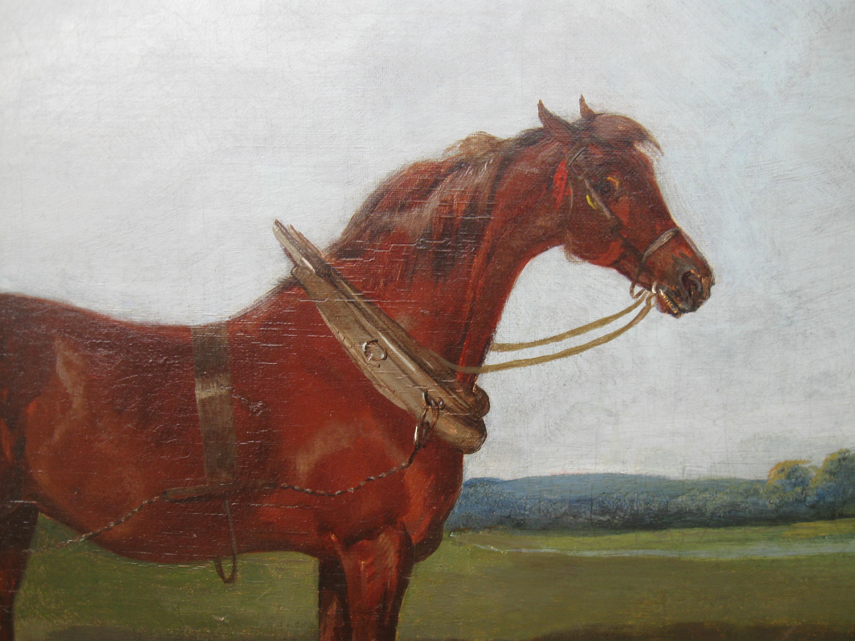 Fine Antique: 'Suffolk Horses in a Landscape, ' Very Large oil  circa 1910 3