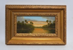 Sunset over the Everglades