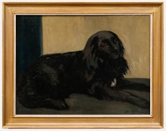 Sydney Merrills - Framed Early 20th Century Oil, Portrait of a Cocker Spaniel