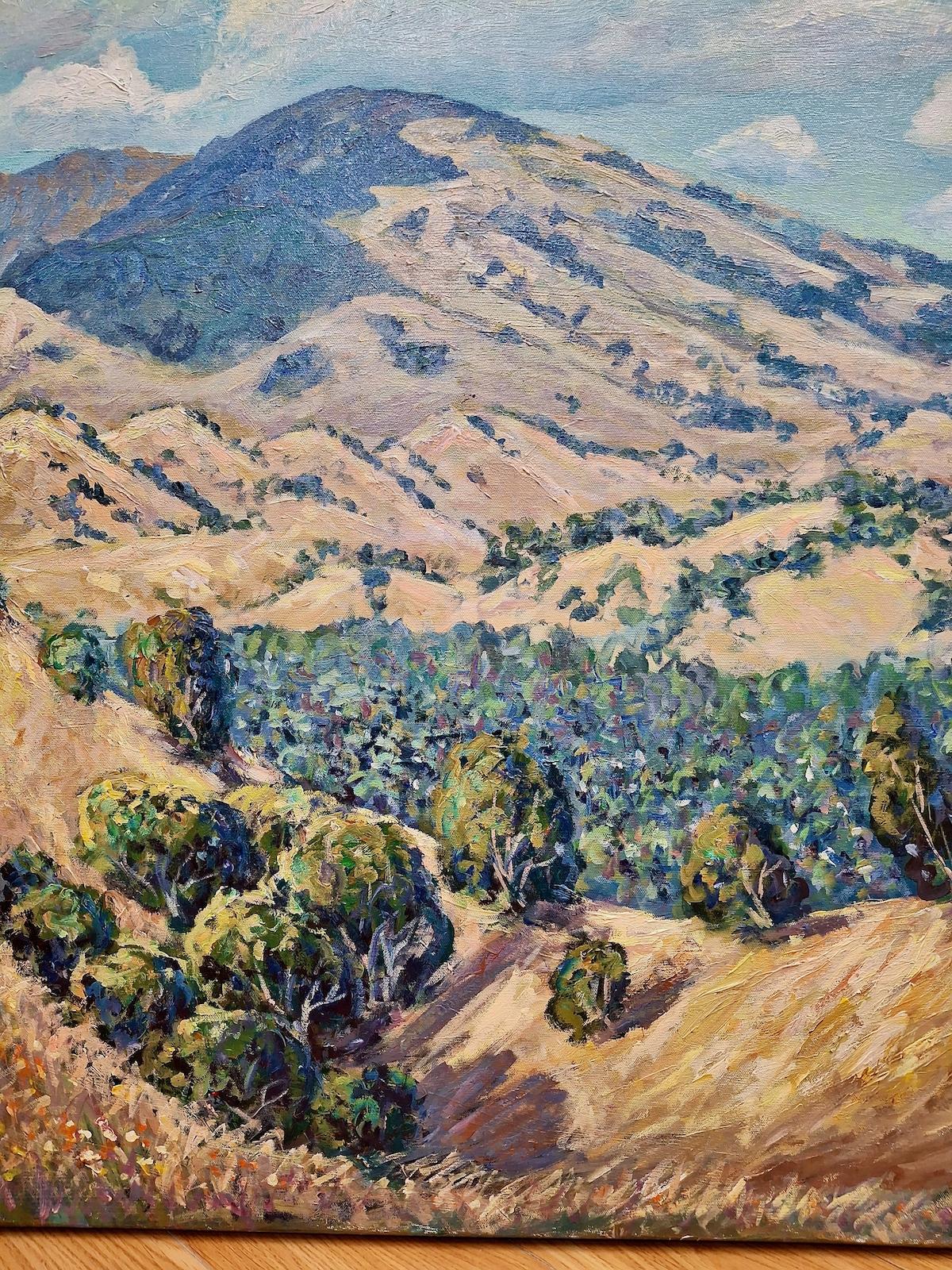 The Bay Area’s Mt. Diablo, by Delia Bradford - Impressionist Painting by Unknown