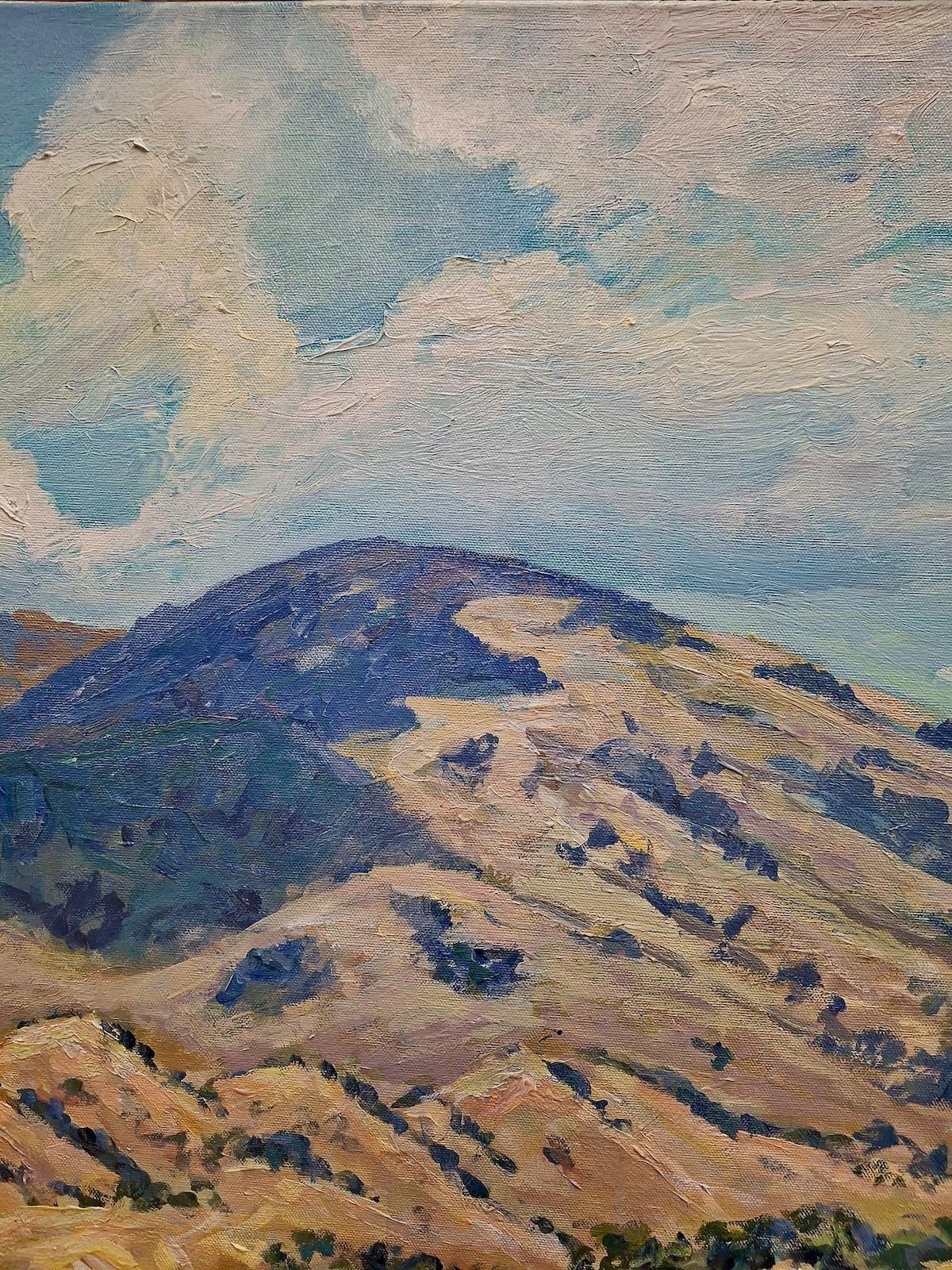 The Bay Area’s Mt. Diablo, by Delia Bradford For Sale 1